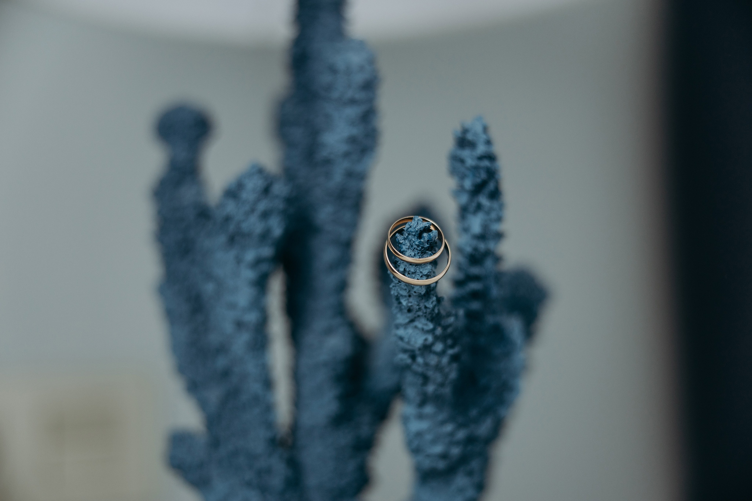 Wedding day 25.04.25. Свадебный фотограф в Санкт-Петербурге