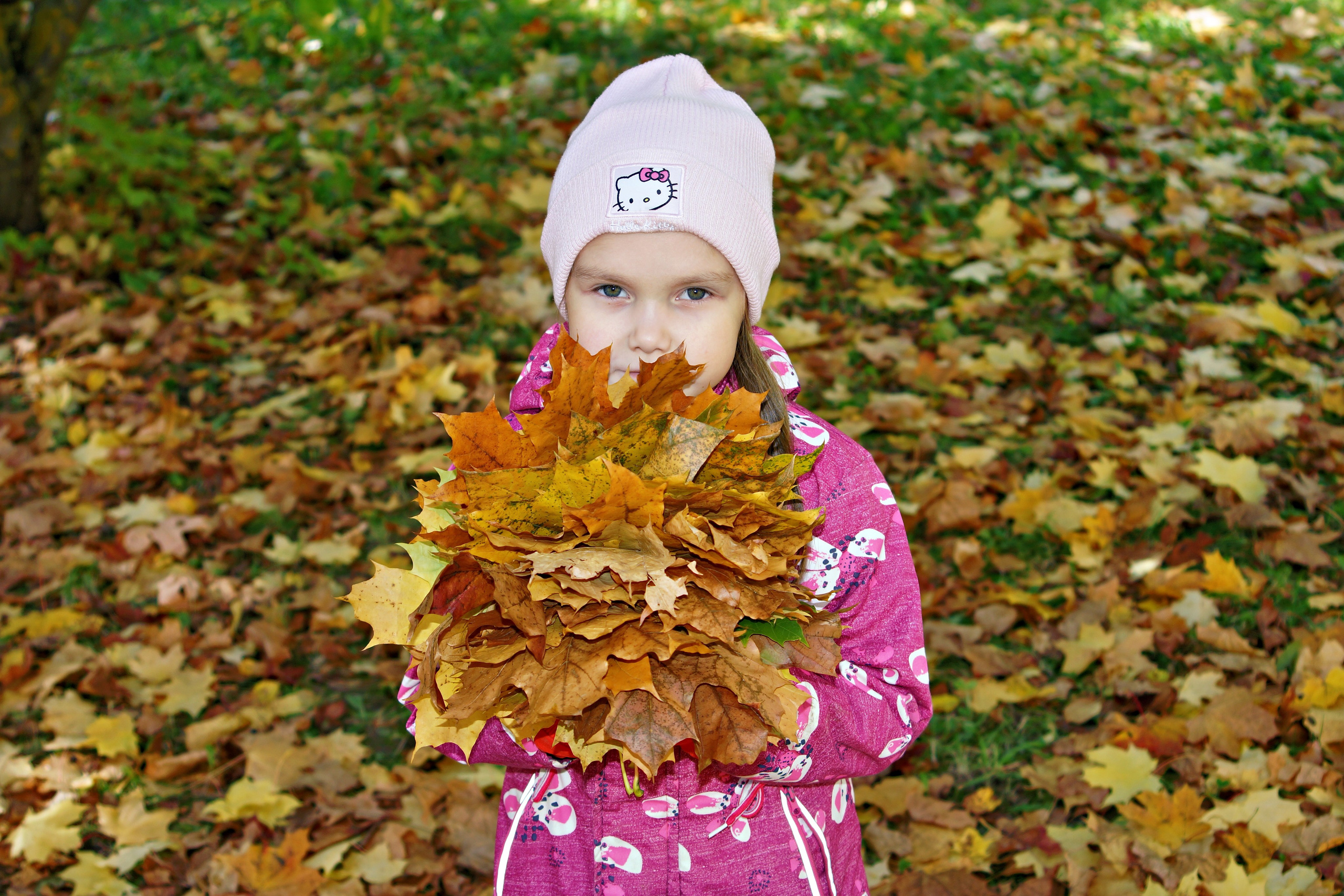 Осенняя фотосессия в детском саду г. Йошкар-Ола