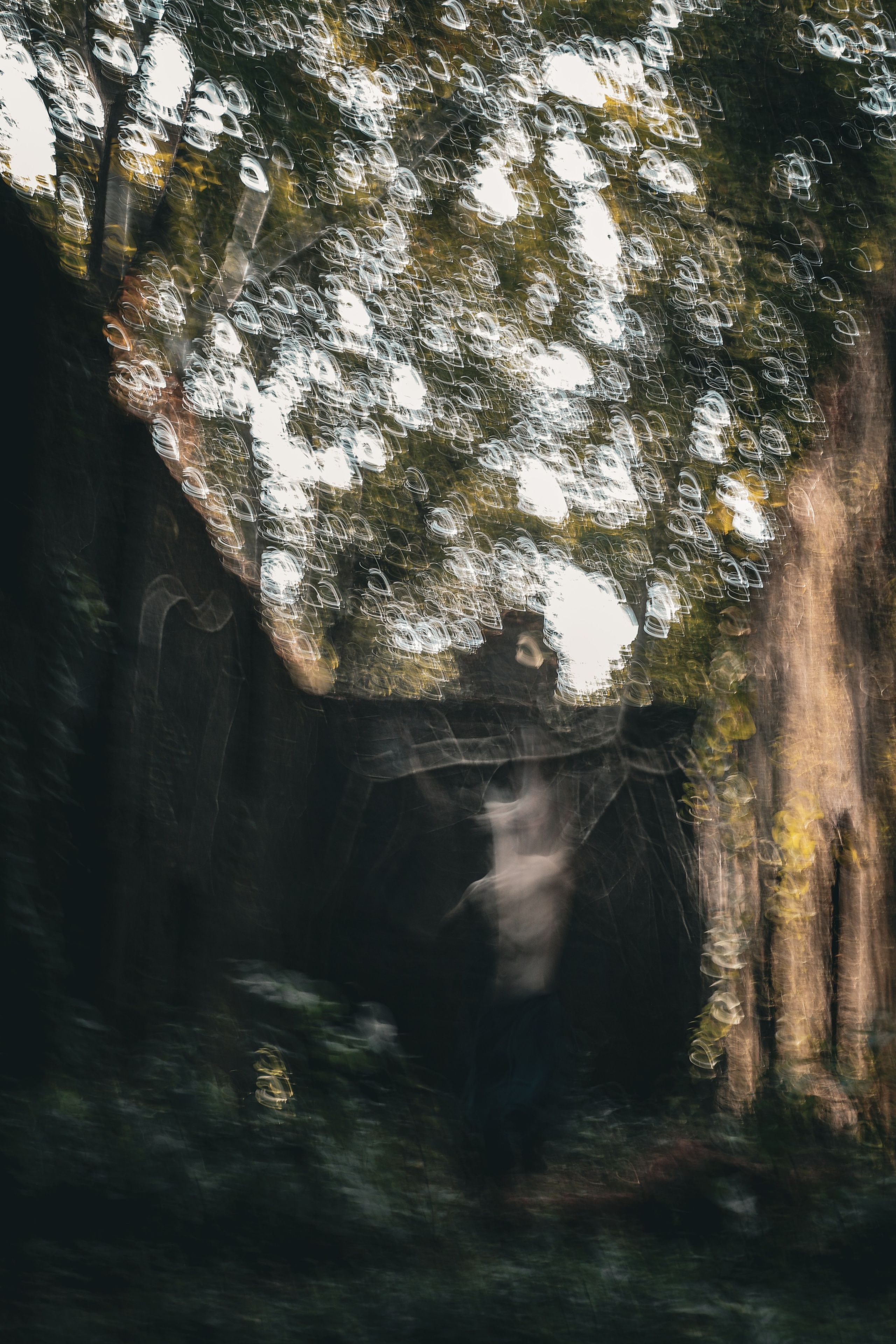 Стас. Сайт Фотографа MASHASOLAR