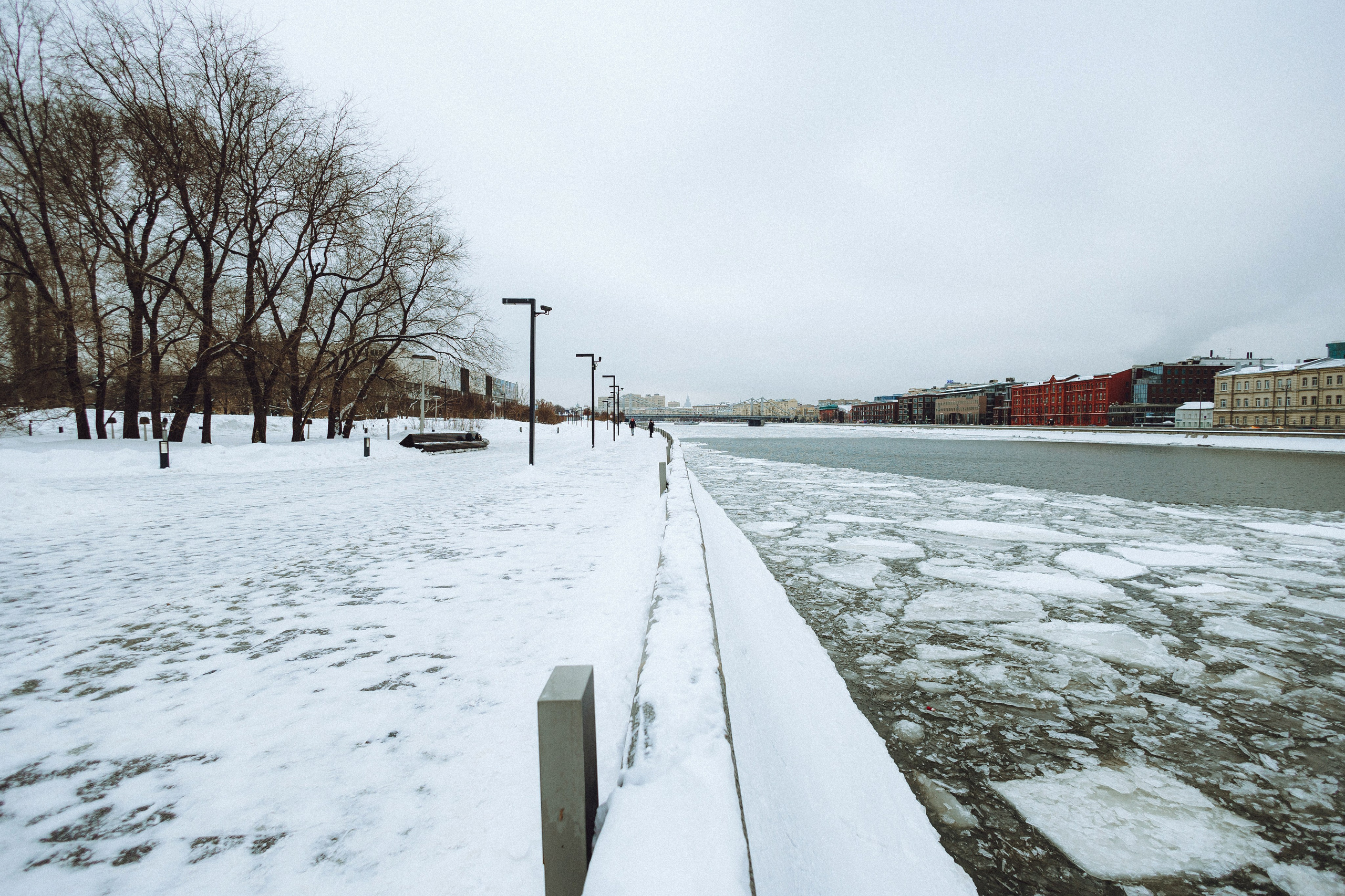 Настя и Ронин