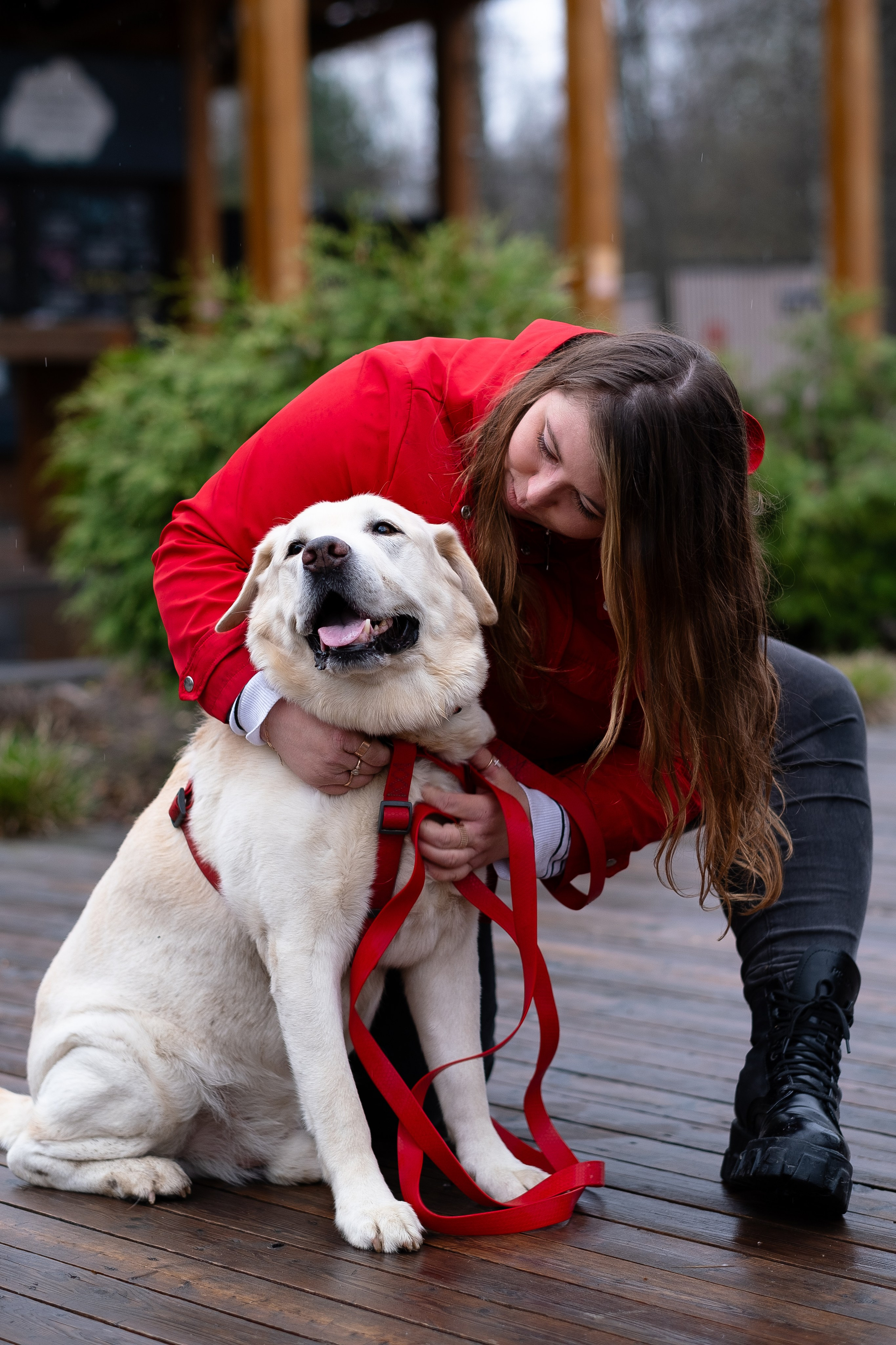 Света и Лето. Фотограф и видеограф анималист Аганина Дарья