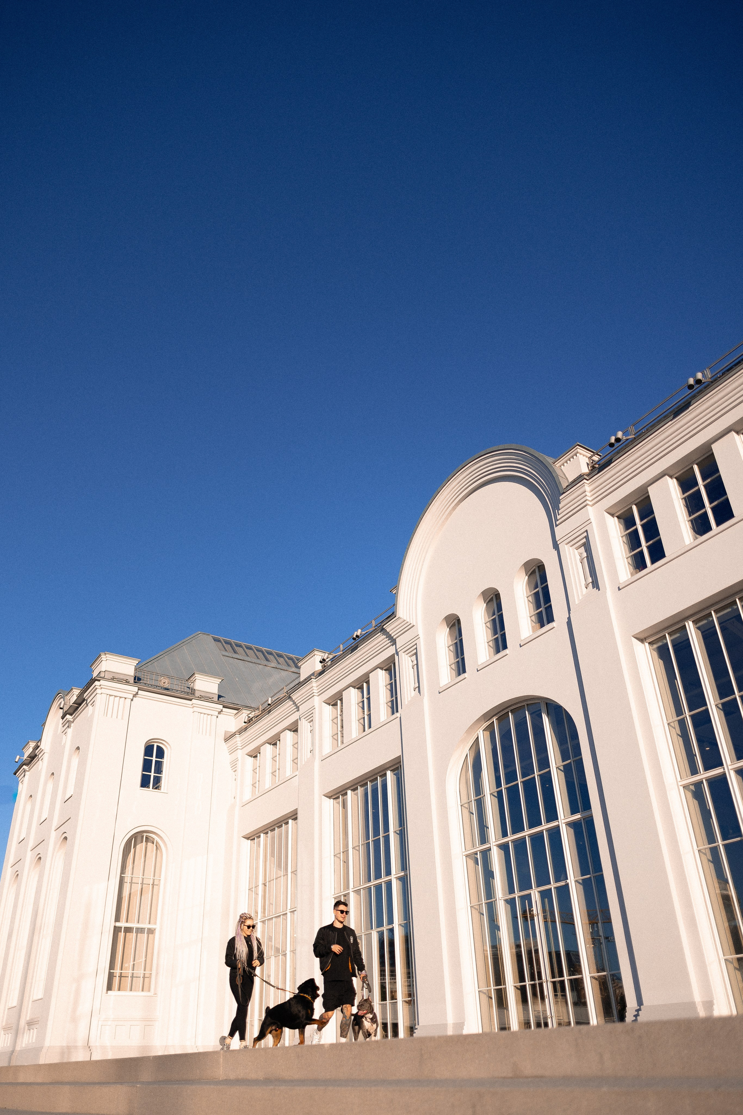 Катя, Леша, Трой и Лея. Фотограф и видеограф анималист Аганина Дарья