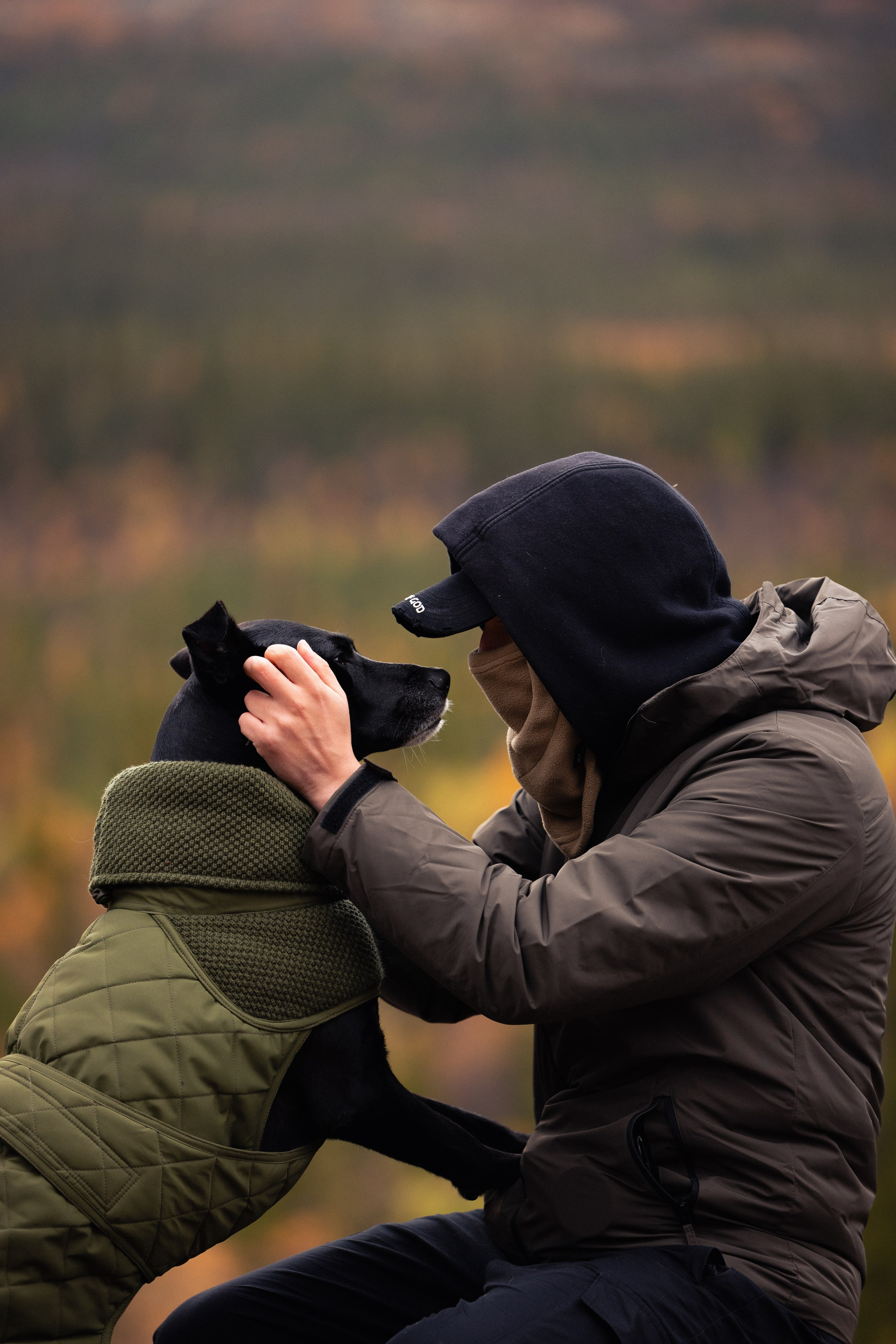 Кольский. Фотограф и видеограф анималист Аганина Дарья