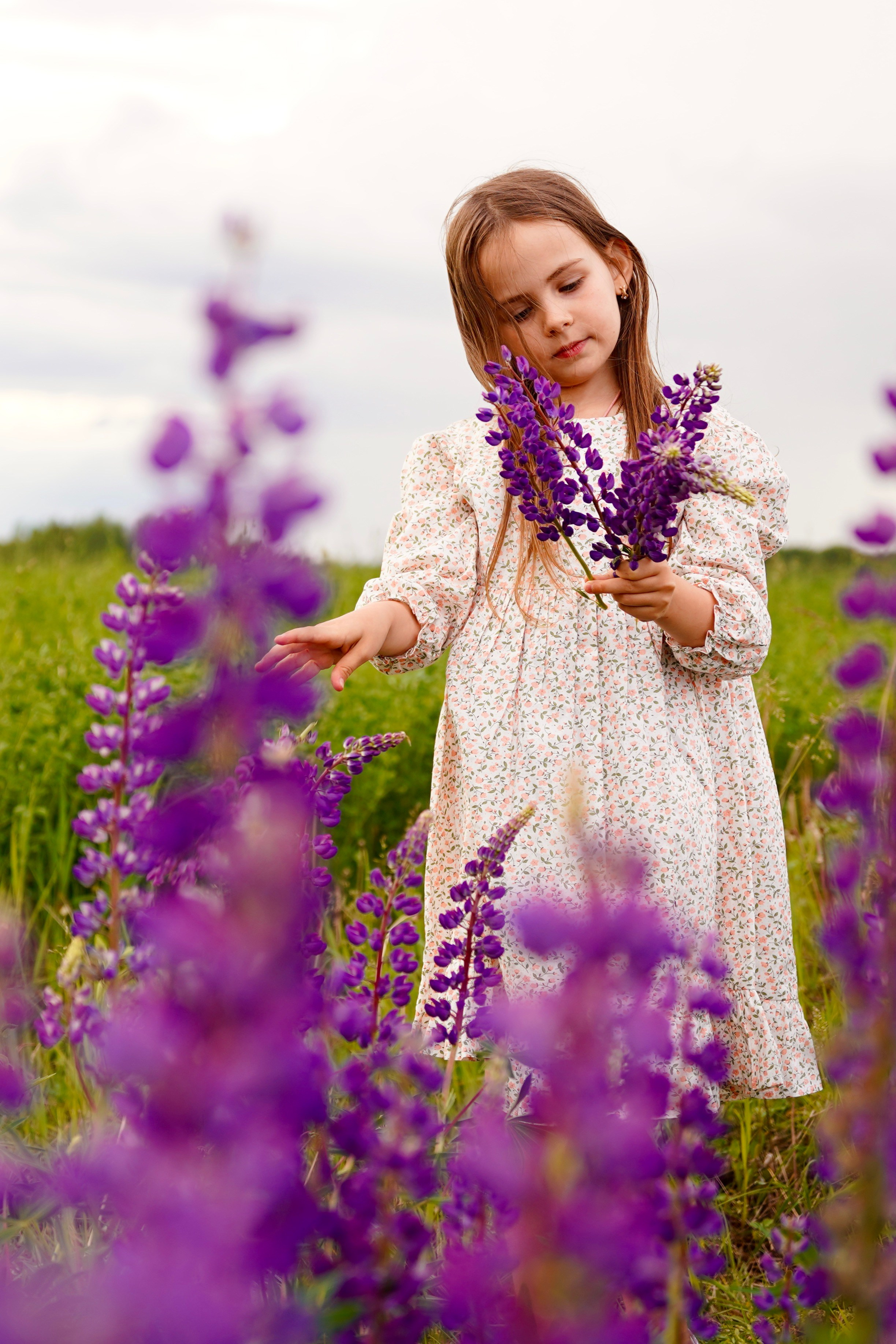Когда цветут люпины. Семейный и детский фотограф Александра Гвоздикова