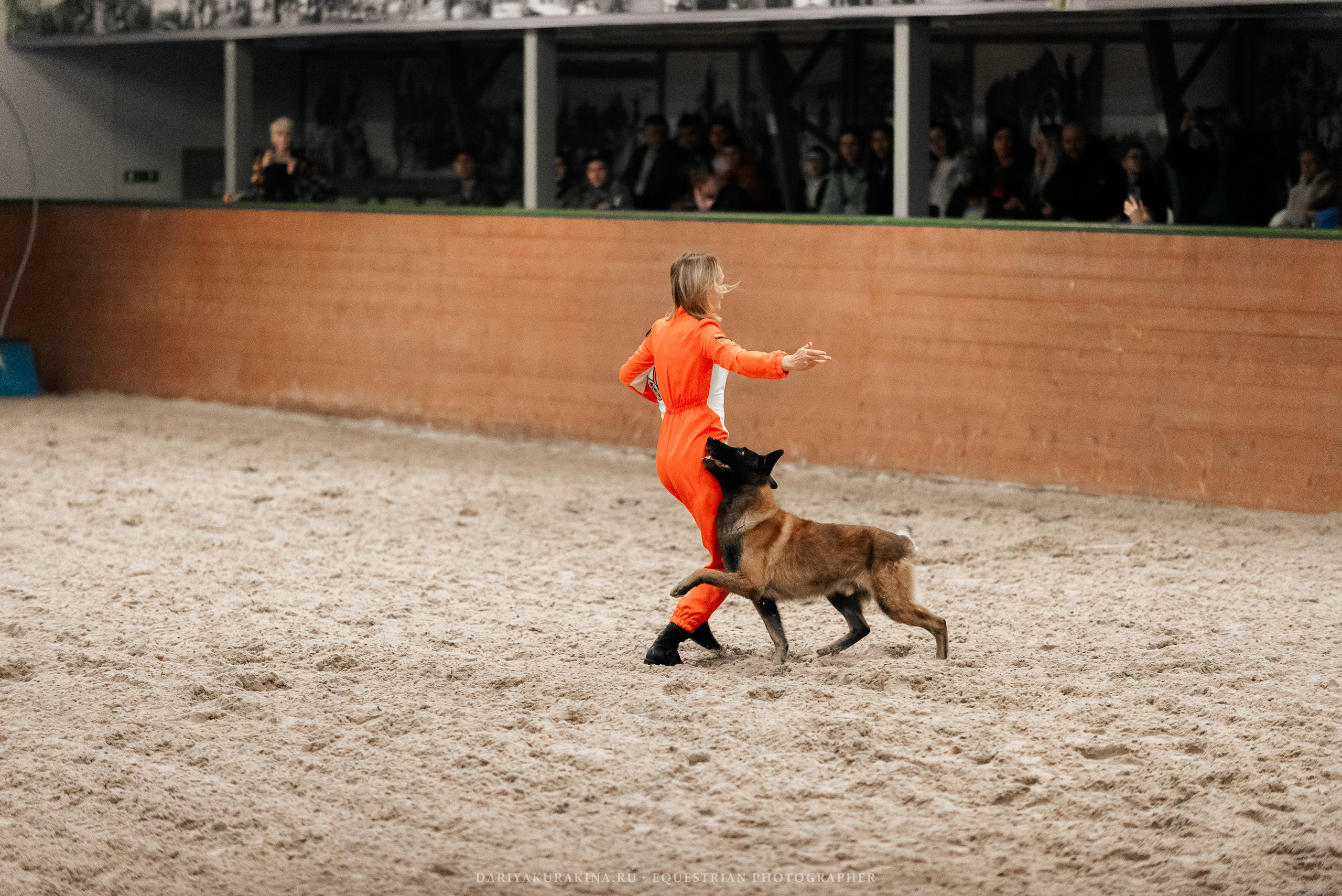Конное представление «Дыхание Звёзд». Конный фотограф Куракина Дарья • Фотосессии с лошадьми