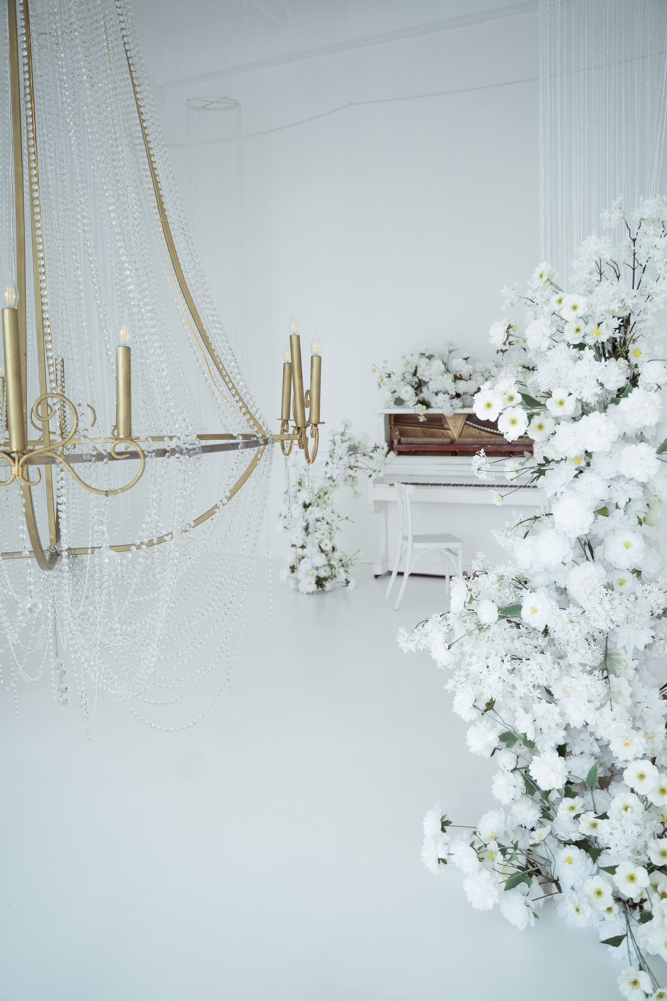 Ренессанс (студия Спутник). Фотограф г. Хабаровск. Семейные и индивидуальные съёмки