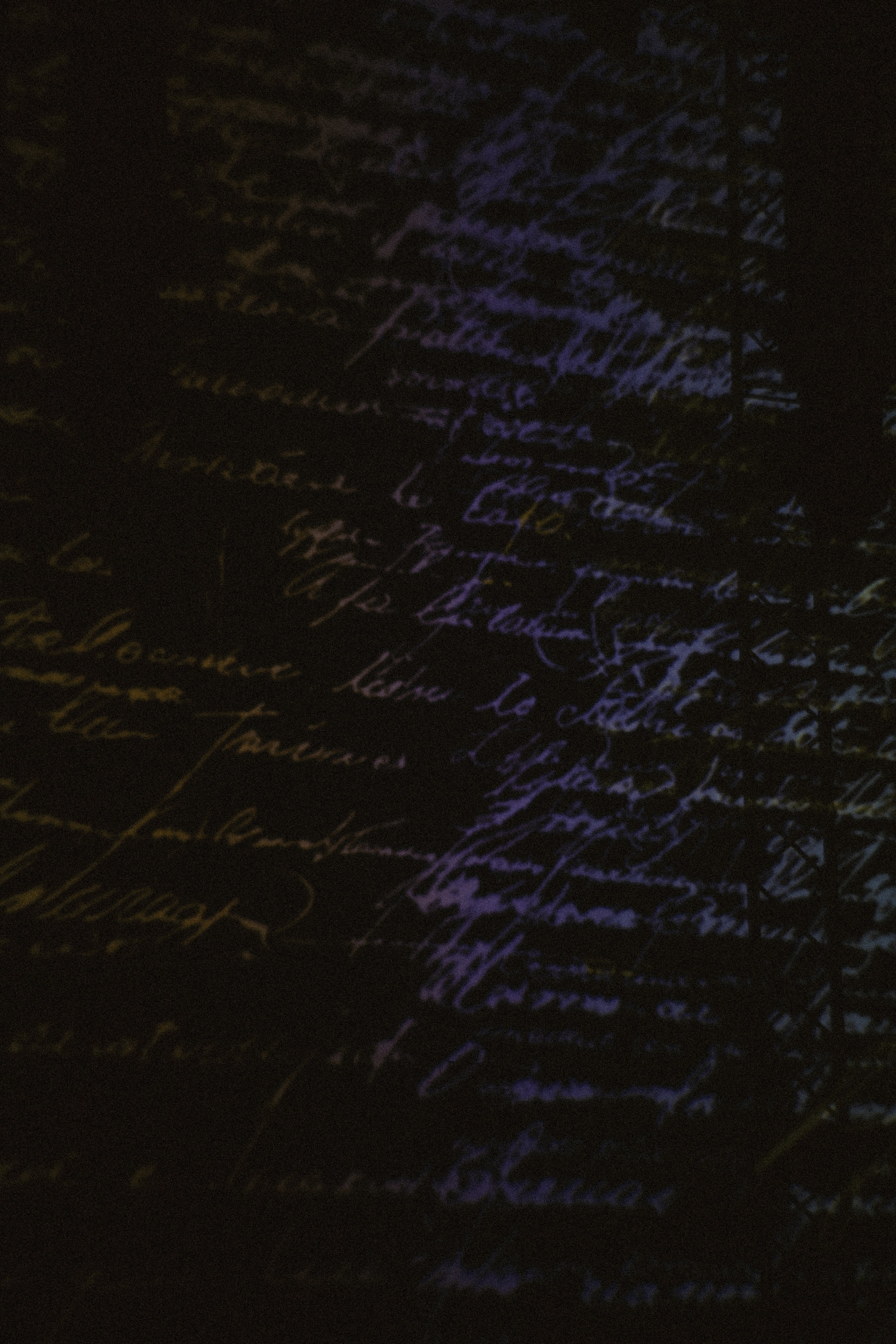 Rara Avis Fashion Show 2026. Fusion Wedding Photographer