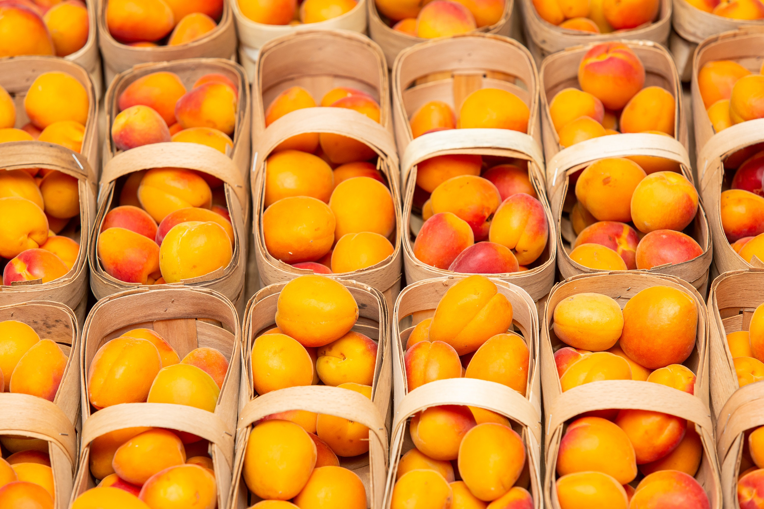 Деловой репортаж. Сергей Гусев — спортивная фотография, виртуальные туры, 3д панорамы