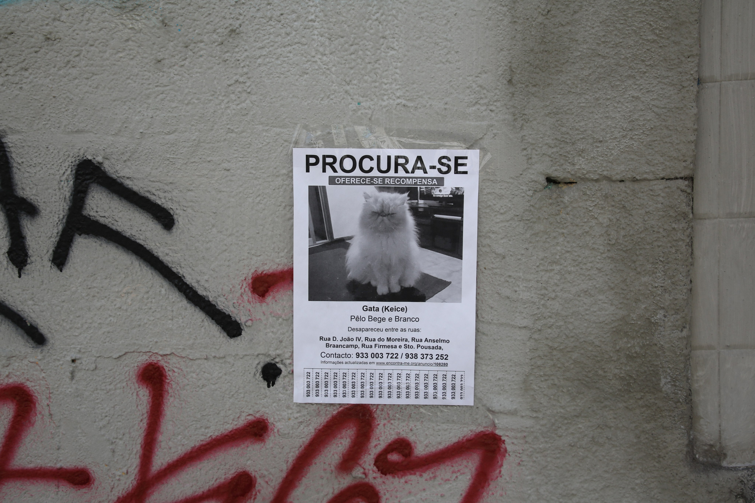 Porto, Portugal. Andrey Filippov Photographer