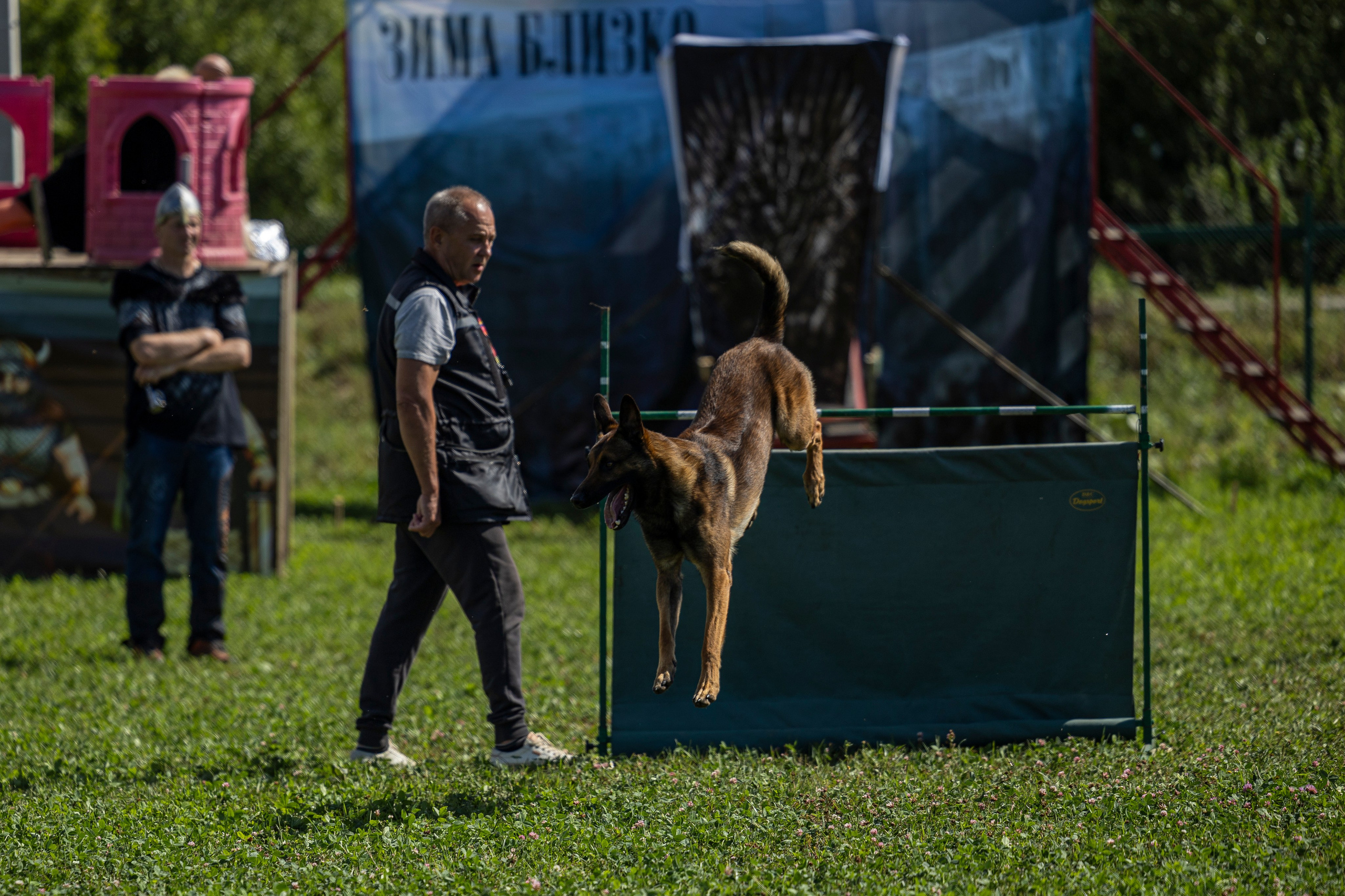 Соревнования по Мондьорингу г. Вологда 10-11.08.2024. Фотограф-анималист Анна Маринич