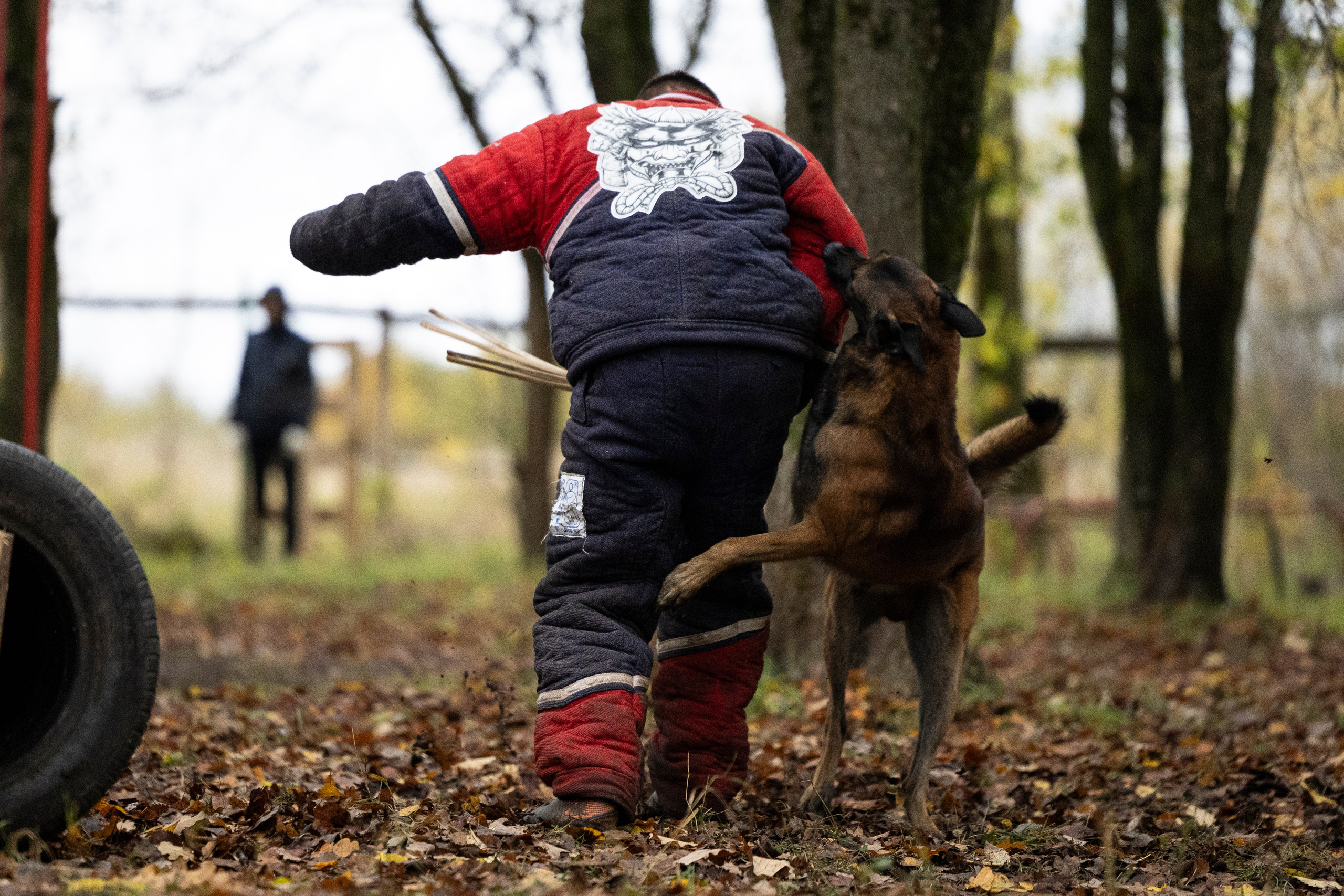 Соревнования по Мондьорингу г. Вологда. Фотограф-анималист Анна Маринич