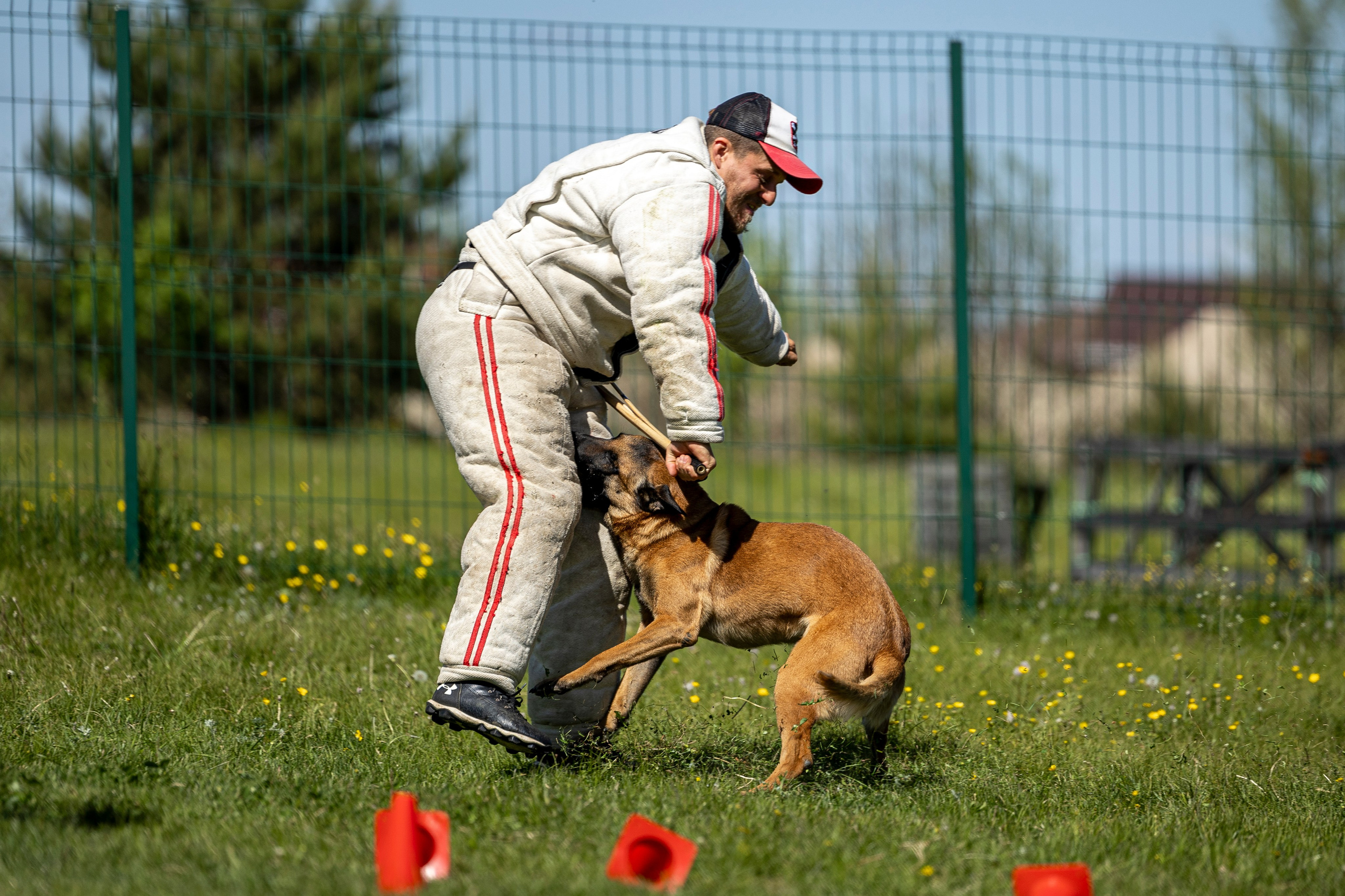 Испытания по мондьорингу в Нижнем Новгороде. Фотограф-анималист Анна Маринич