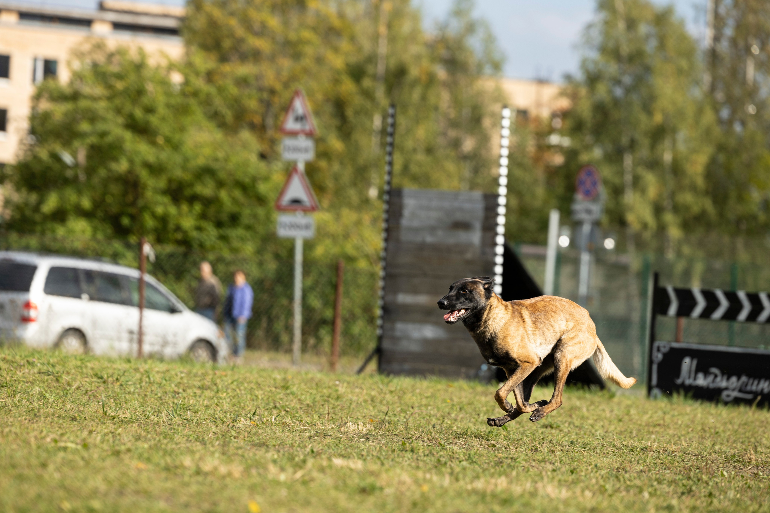 Испытания по Мондьорингу г. Пушкин. Фотограф-анималист Анна Маринич