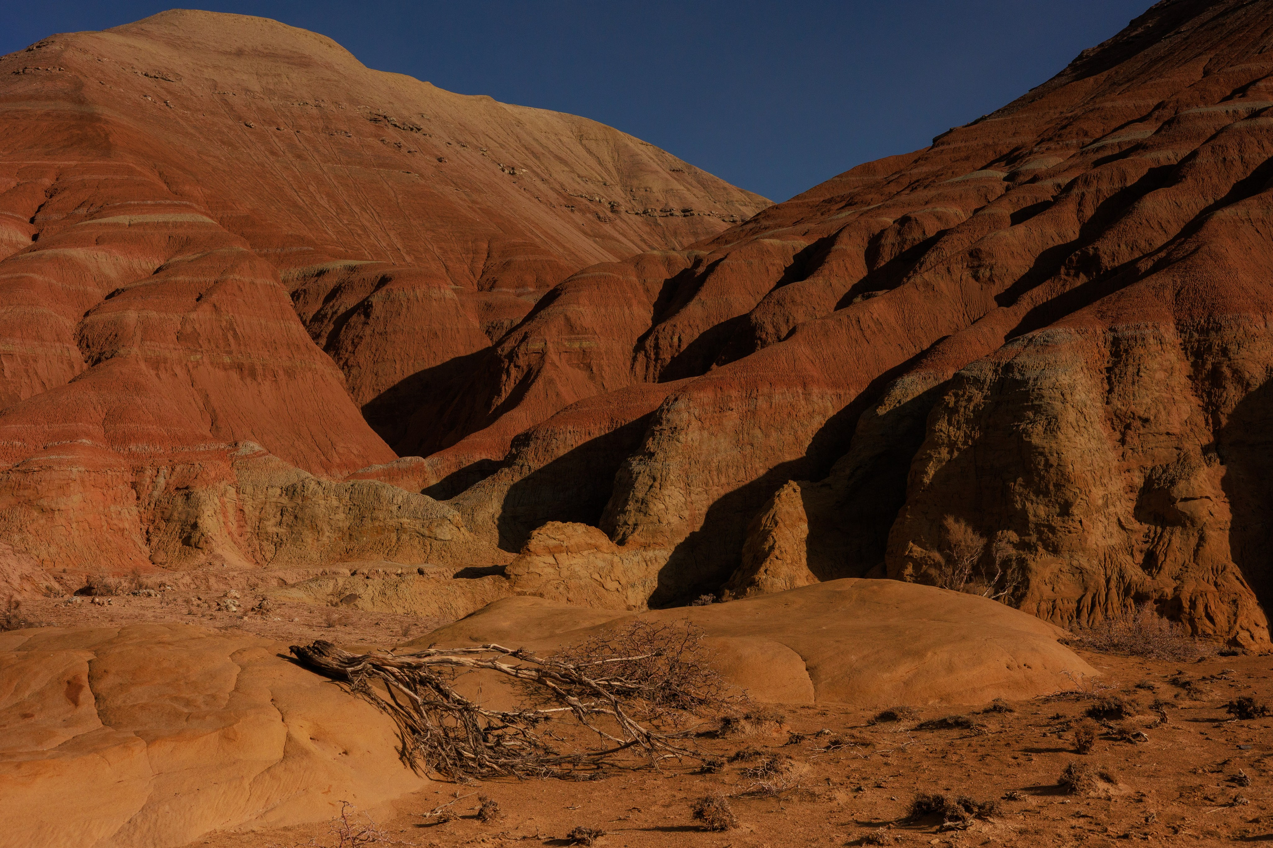 Алтын Эмель горы Актау. Фотограф Мальнева Юлия в Липецке, в Москве. Фотостудия MARU в Липецке