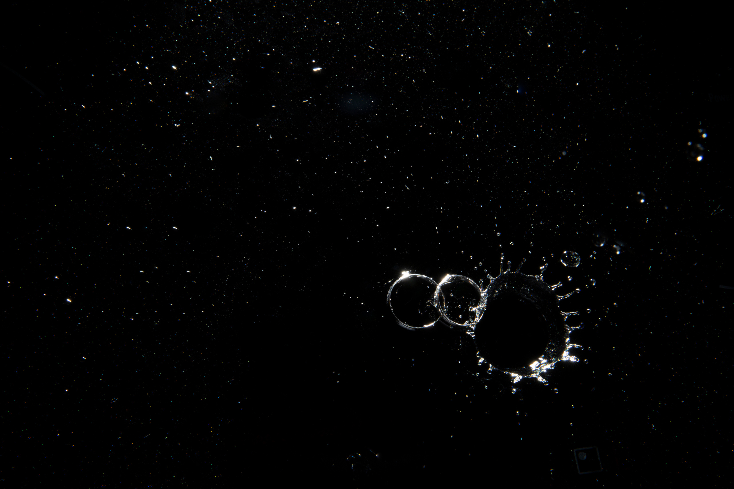 Таня & Ваня. Свадебный Фотограф Новосибирск | Алина Коляда