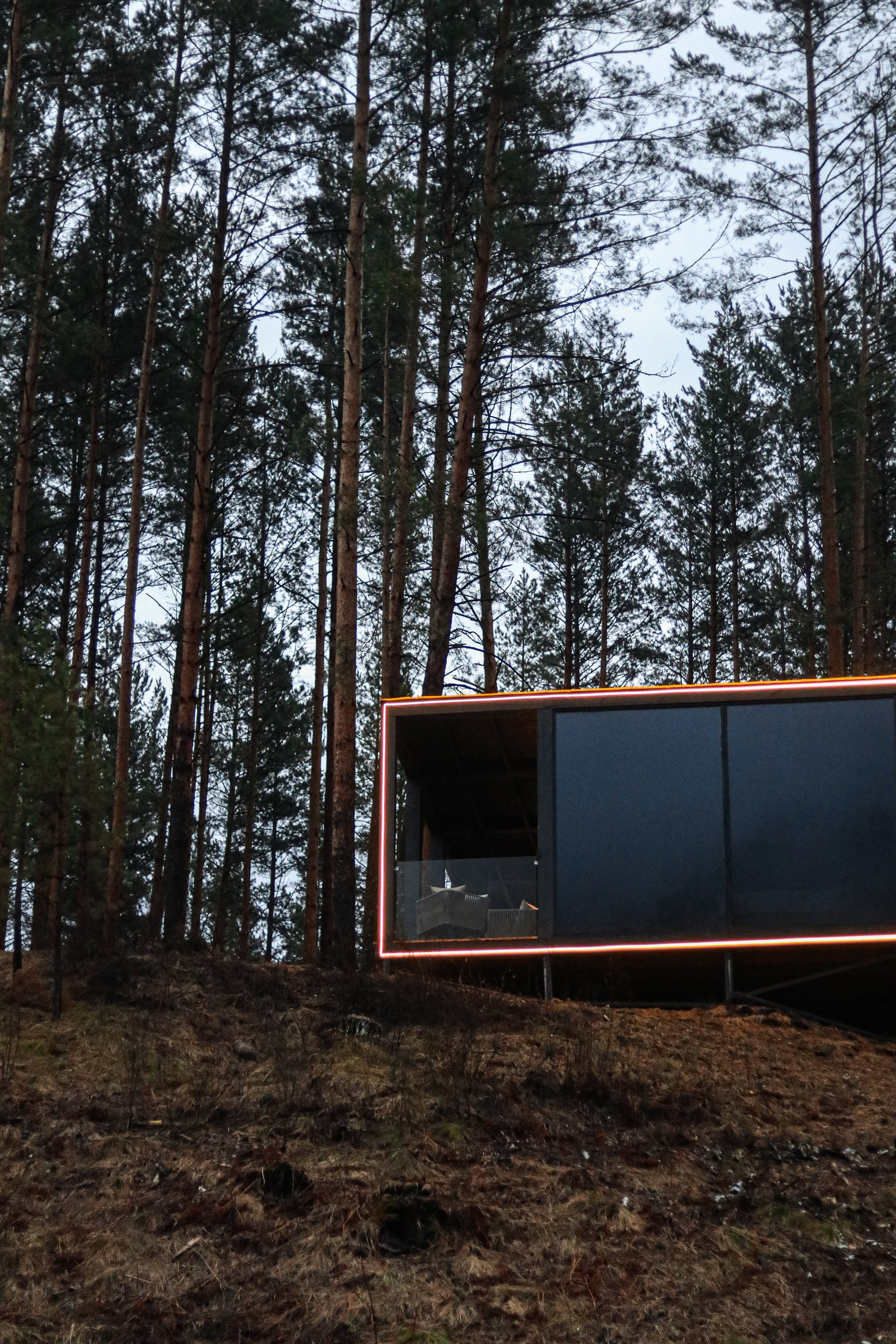 «Pinewood» парк-отель, респ. Алтай. Контент фотограф Дмитрий Борисов