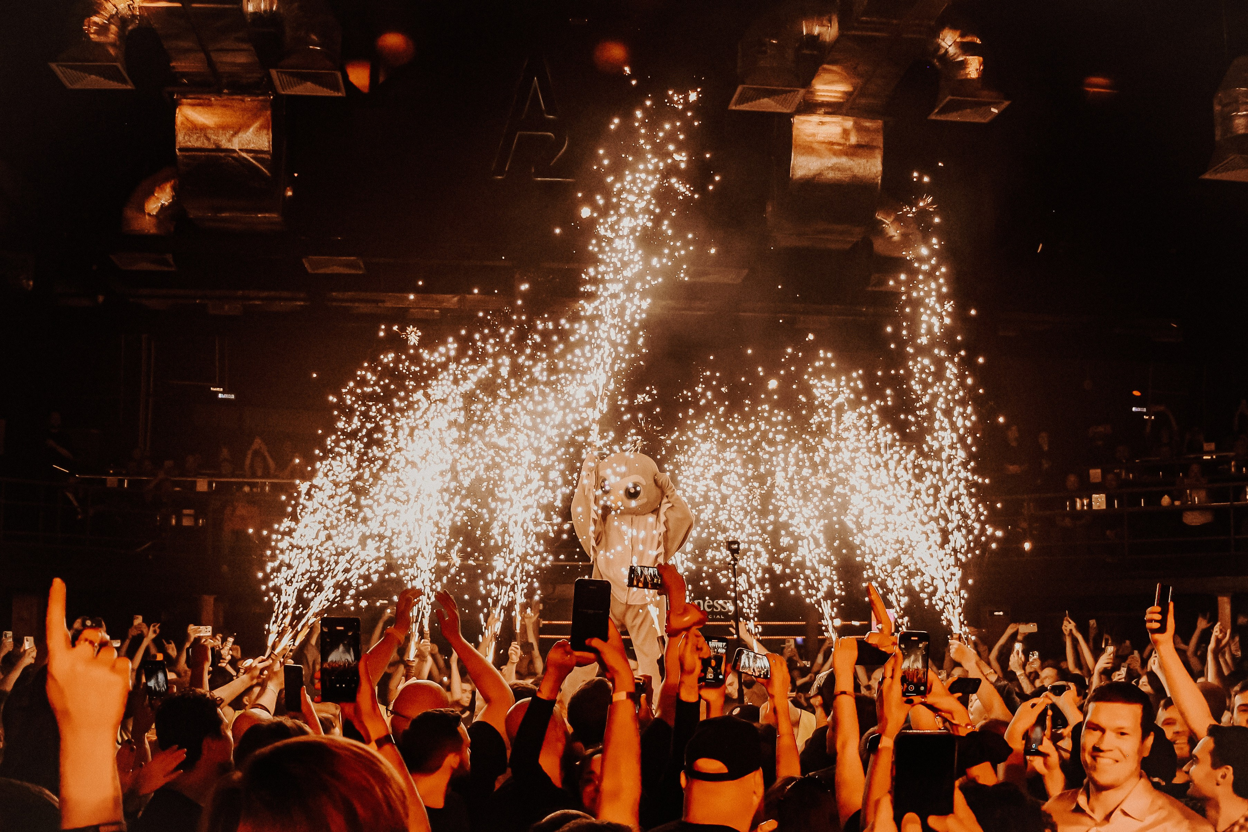 ПНЕВМОСЛОН | A2. Фотограф из Петербурга Софи Веритас Концерты и портреты