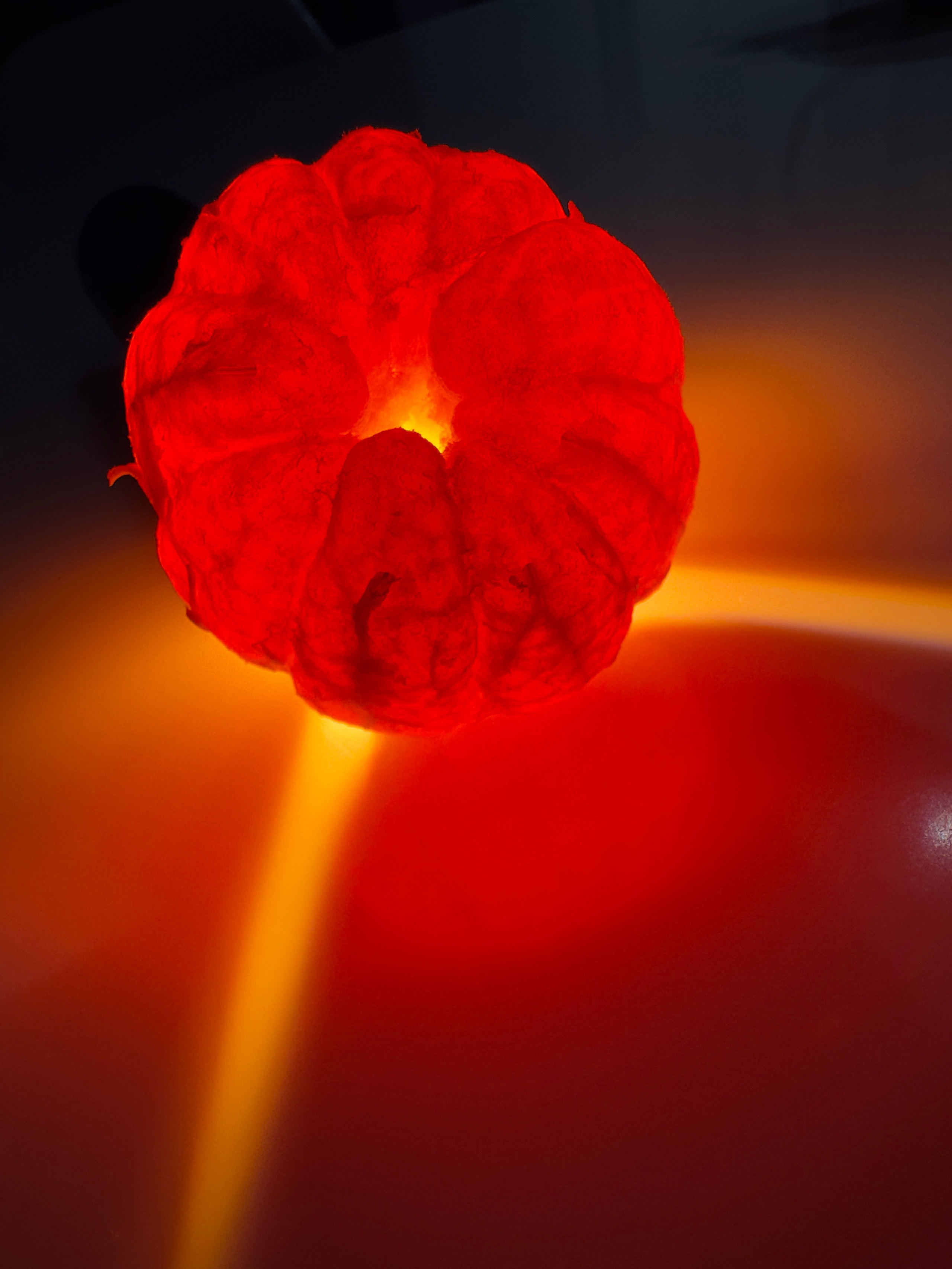 Световой дневник. Поиск неочевидного. ElizabetArt — фотограф в Воронеже Елизавета Хлусова