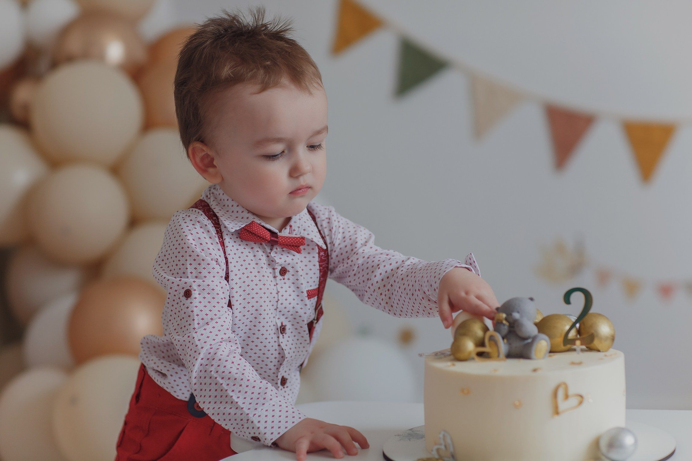 МОЯ СТУДИЯ. Фотостудия СМУЗИ