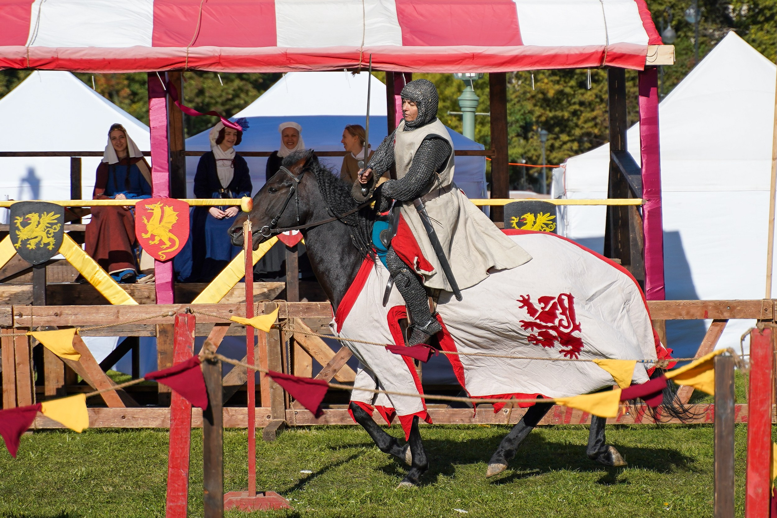 Рыцарский турнир в рамках фестиваля «Битва на Неве» Санкт-Петербург 2024 г. Фотограф-анималист, портретный фотограф в Чебоксарах Мария Садыкова