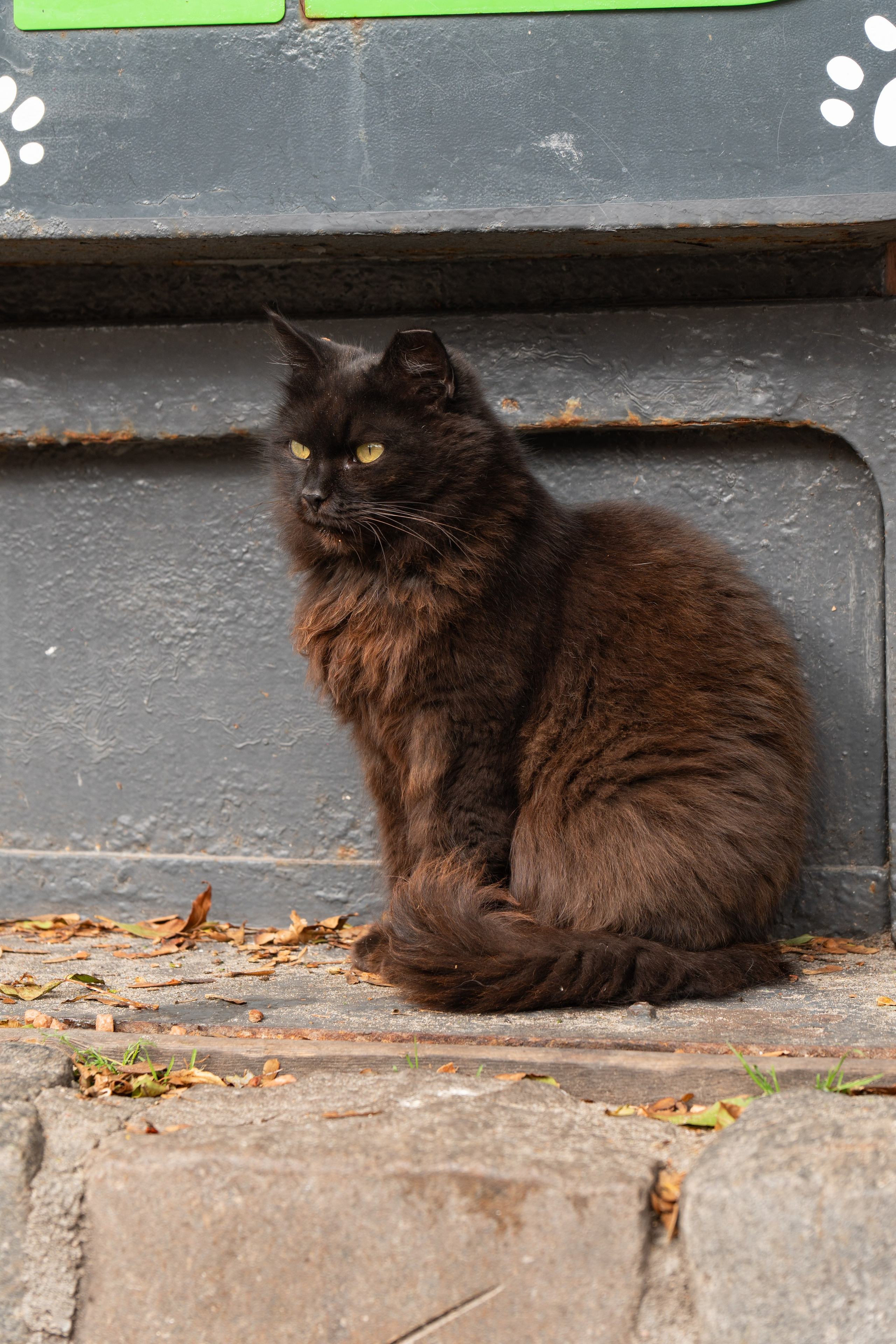 Калининградская область. Gusarov Travel Photography