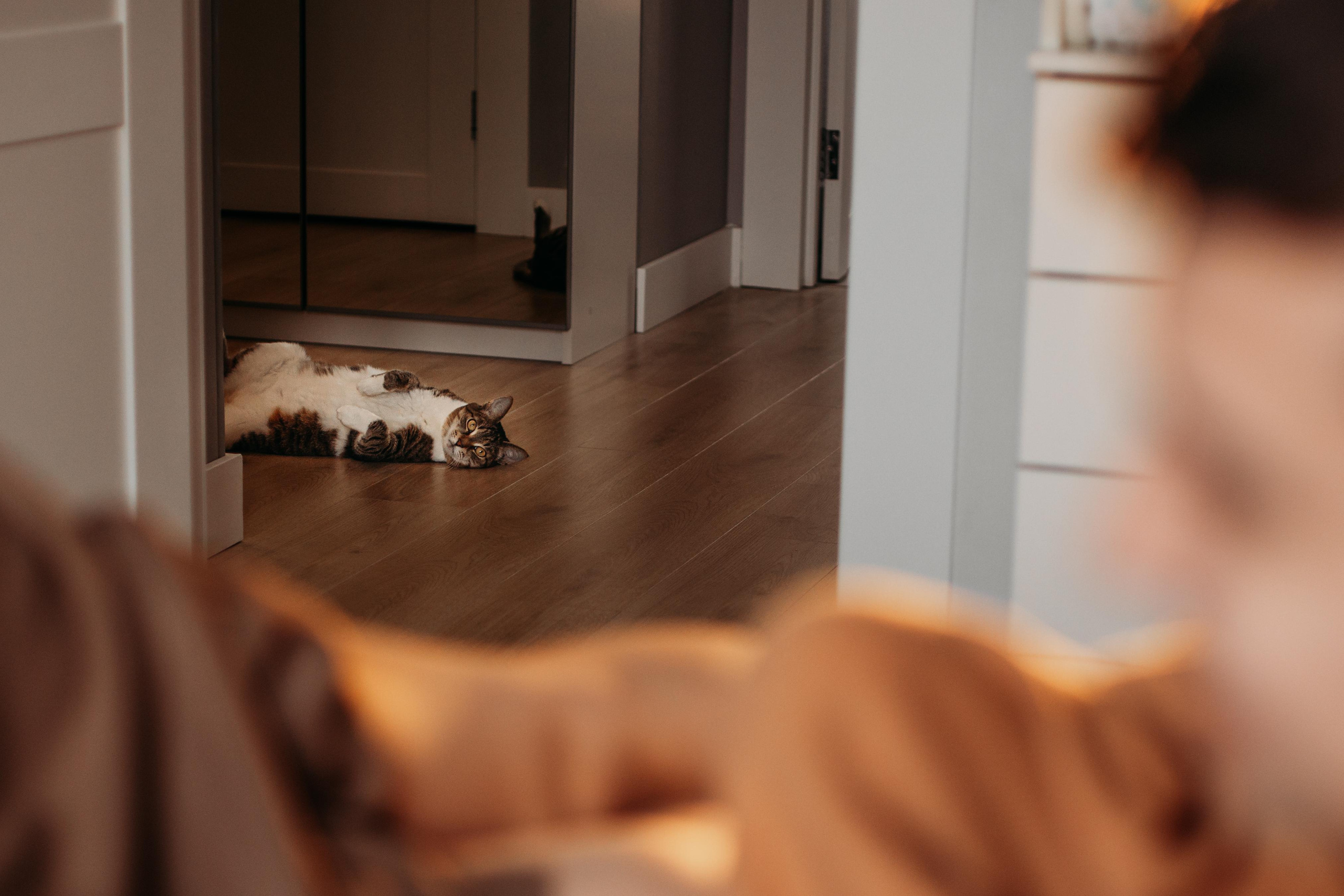 Катя и Женя