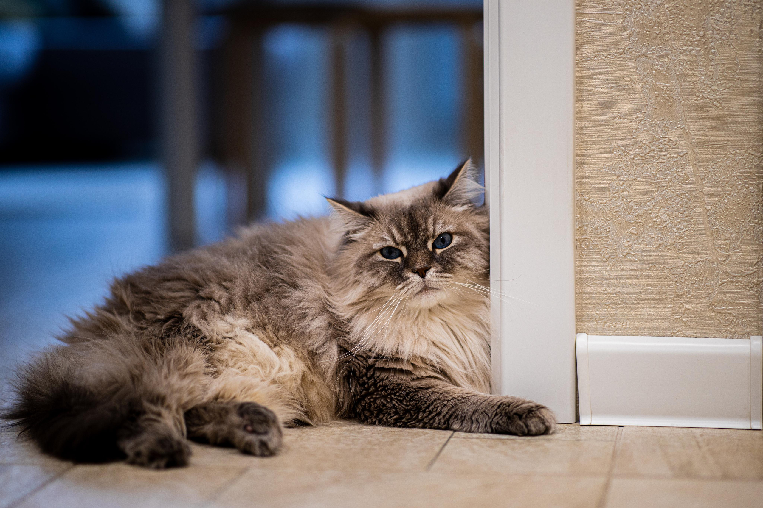 Надя и Женя