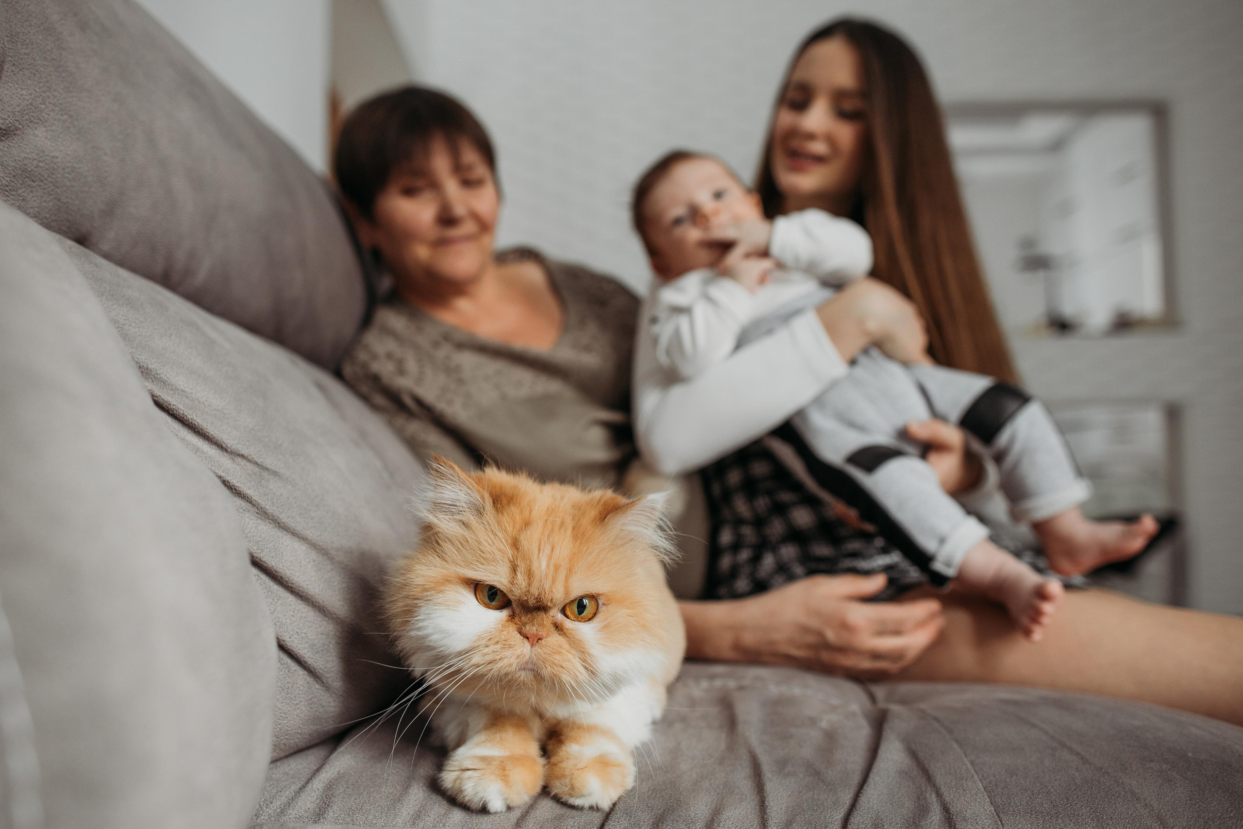 Андрей и Вика