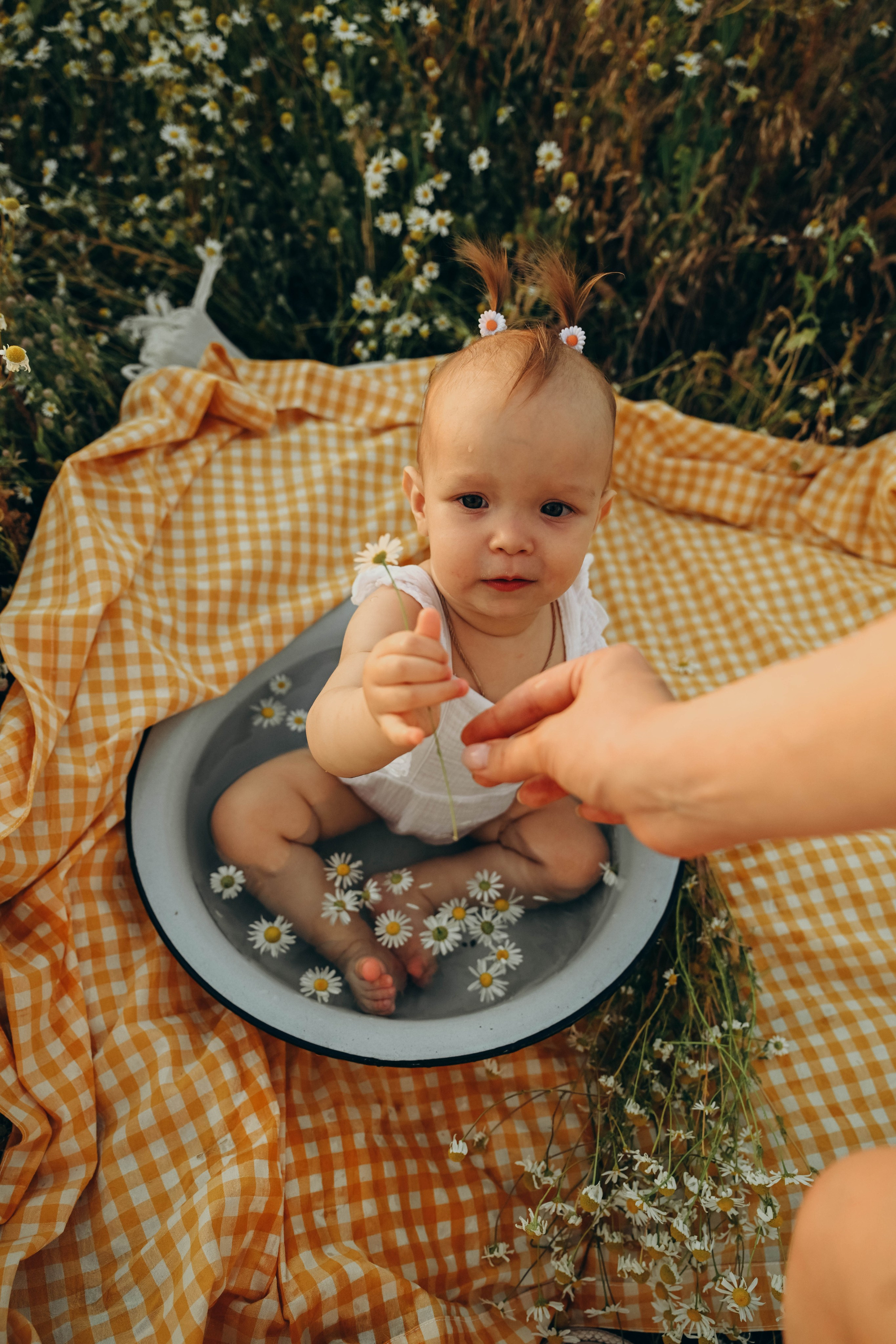 Ромашковое поле. Семейный фотограф в Москве Люберцах Ирина Вронская