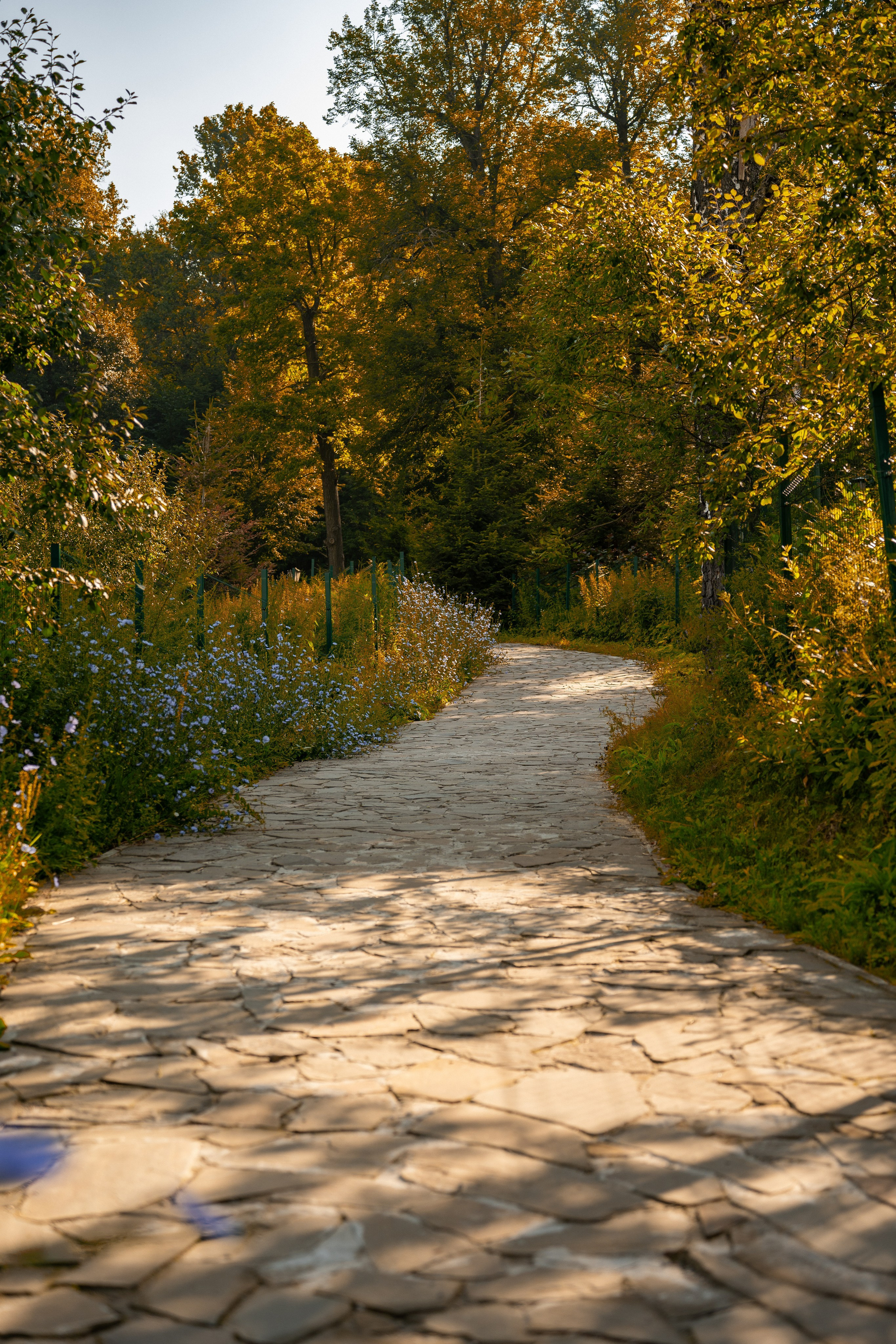 ATMOSPHERE. Фотограф Юрина Ксения Москва