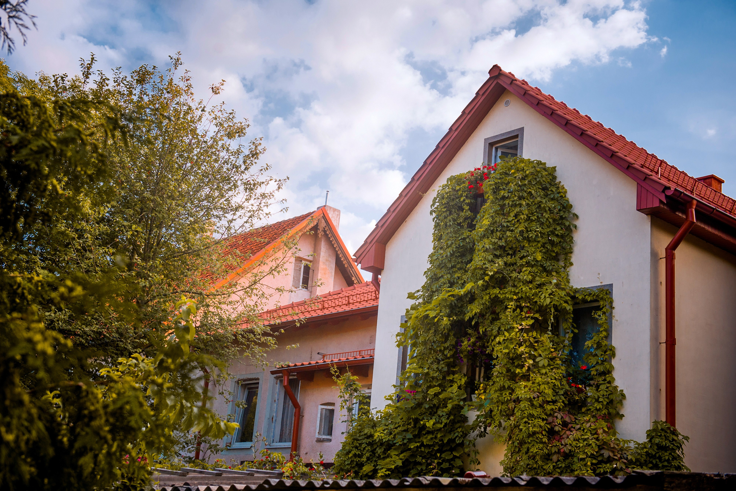НЕДВИЖКА. Фотограф Вера Демидкова