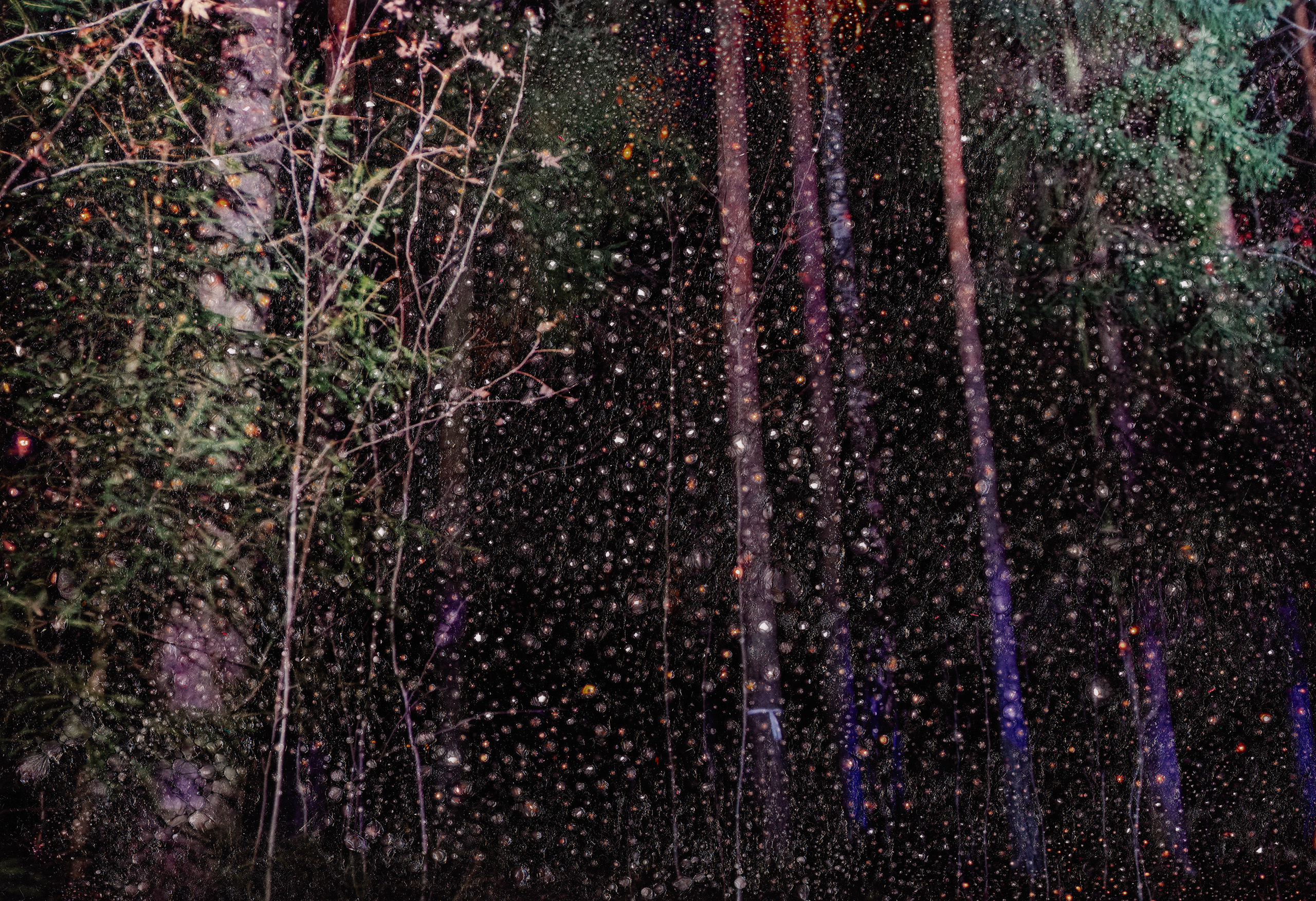 Album cover for sale. Фотограф Мария Немм