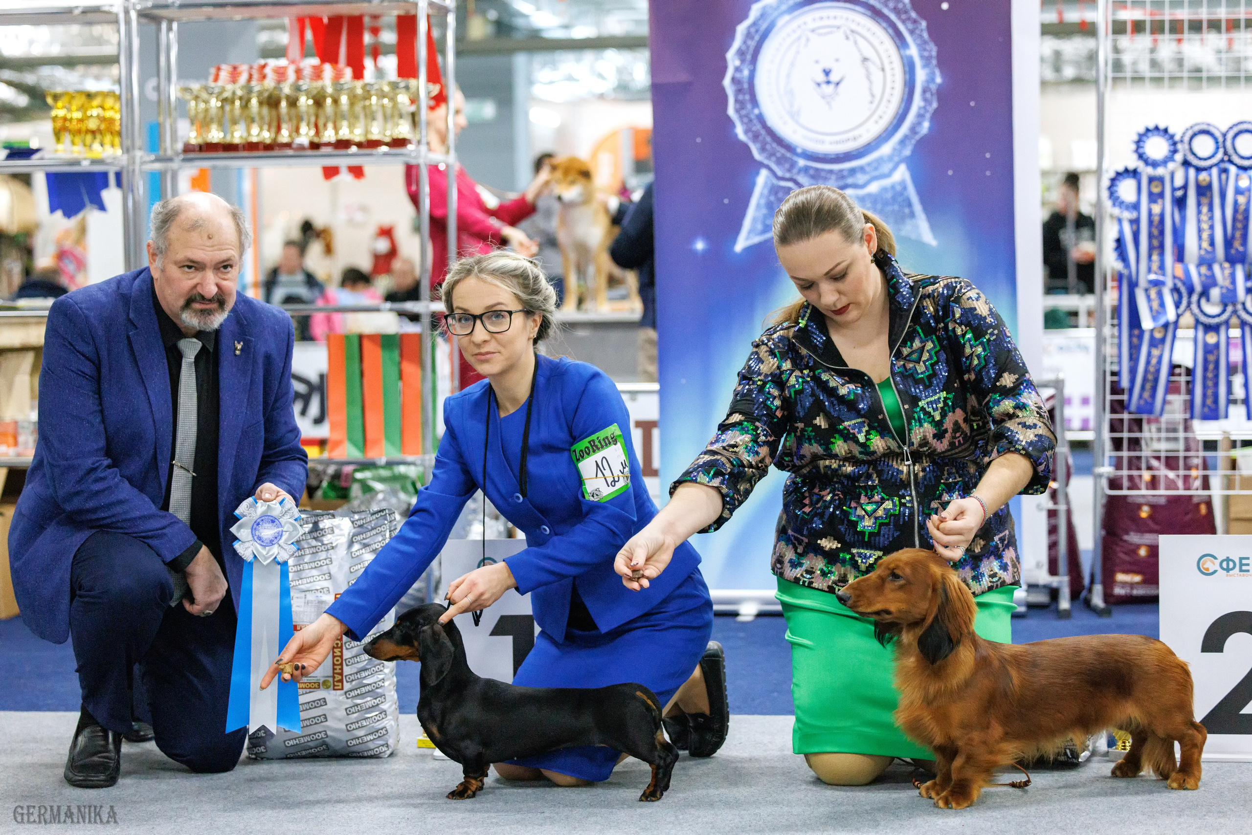 Крокус 10.02,Сфера 11.02.2024. Фотограф-анималист Юлия Германика