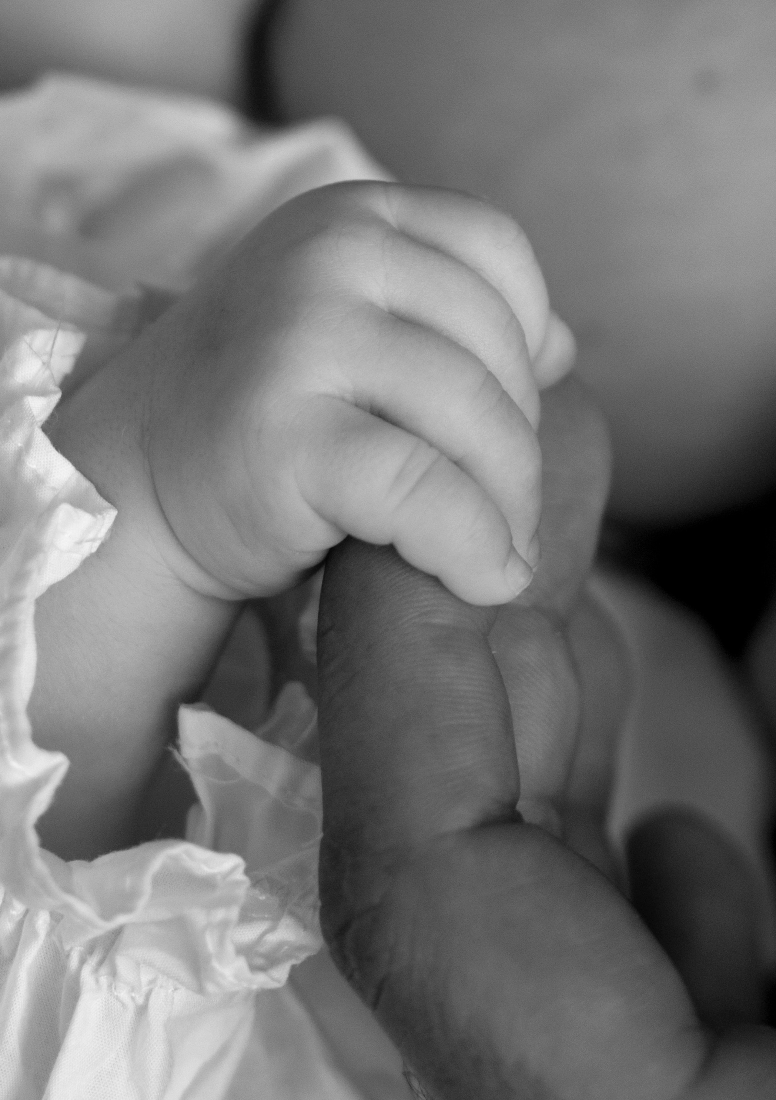 New born family photoshoot at home. Wedding and family photographer