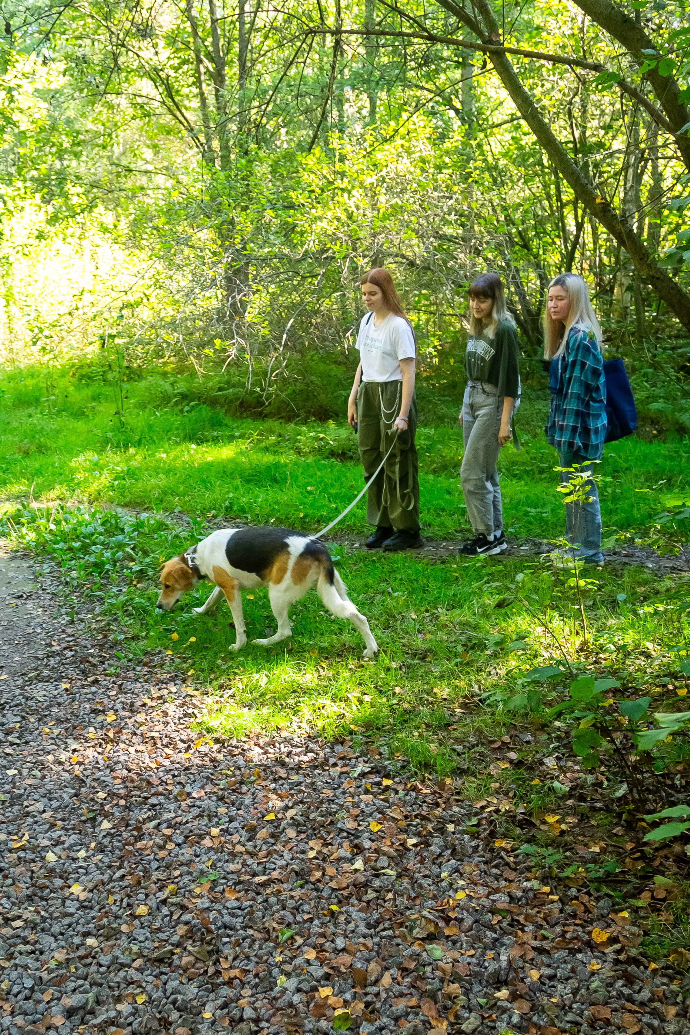 Petshop Забота. Фотограф в Санкт-Петербурге Чумаков Семен