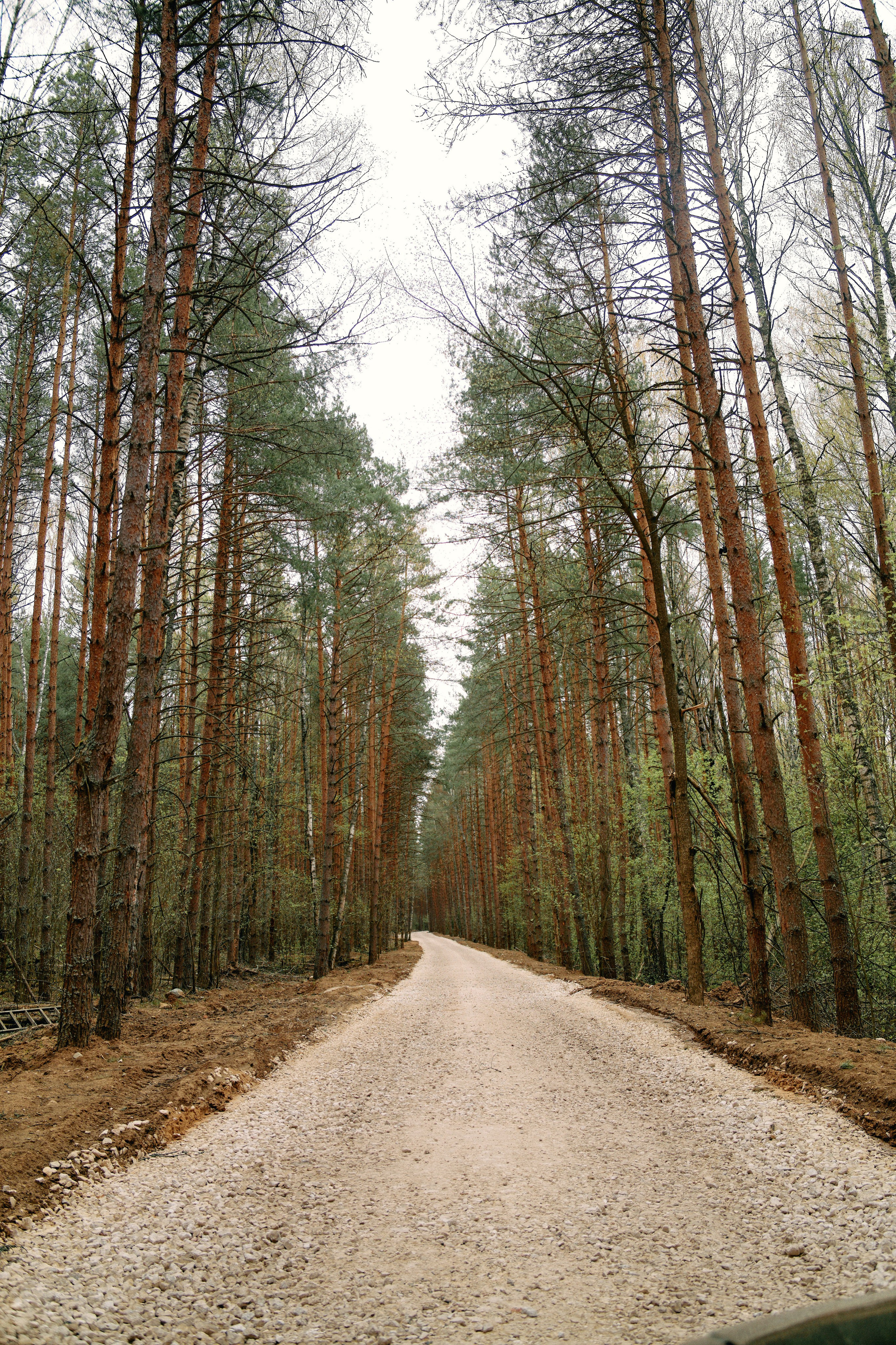 Бутик-отель Поле летом. Профессиональный Фотограф во Владимире, в Москве и в Суздале — Полина Романычева