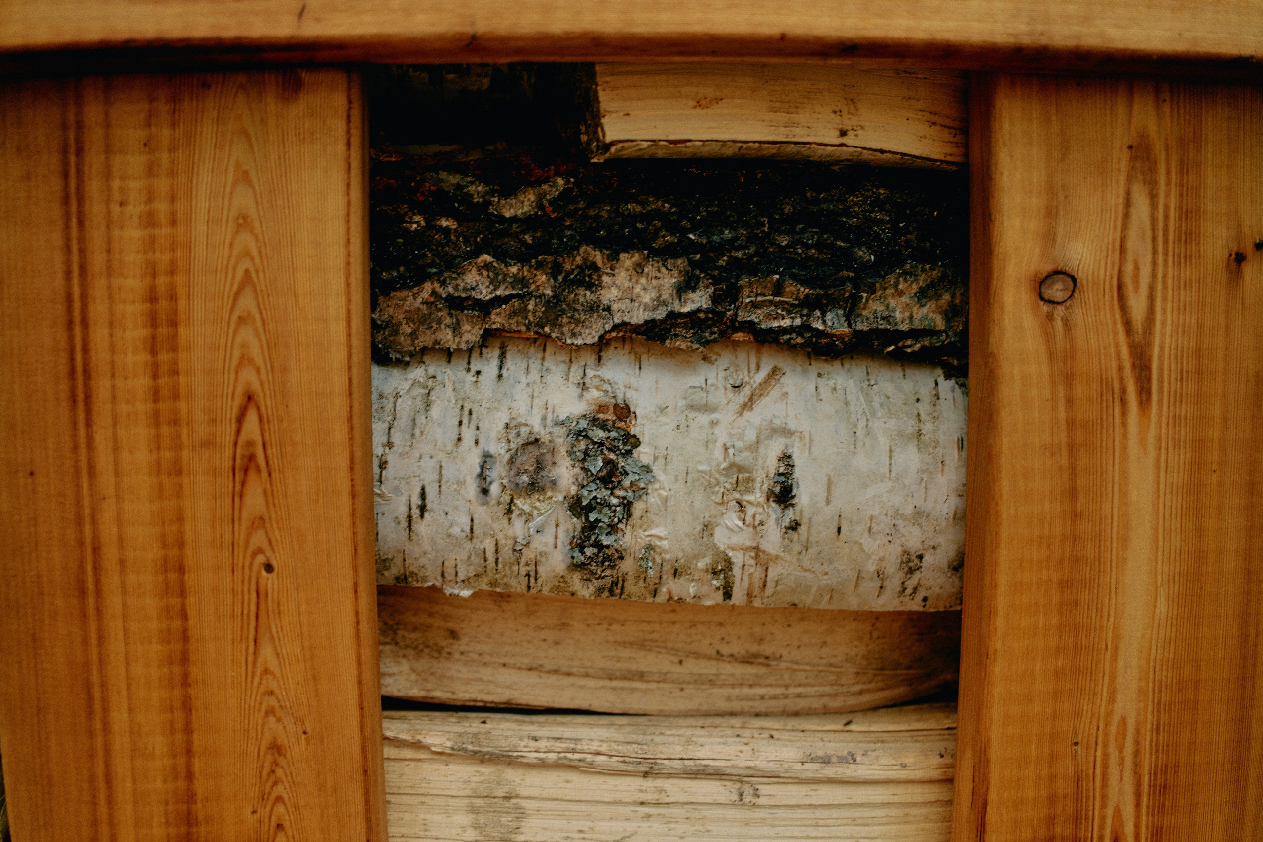 Бутик-отель Поле летом. Профессиональный Фотограф во Владимире, в Москве и в Суздале — Полина Романычева