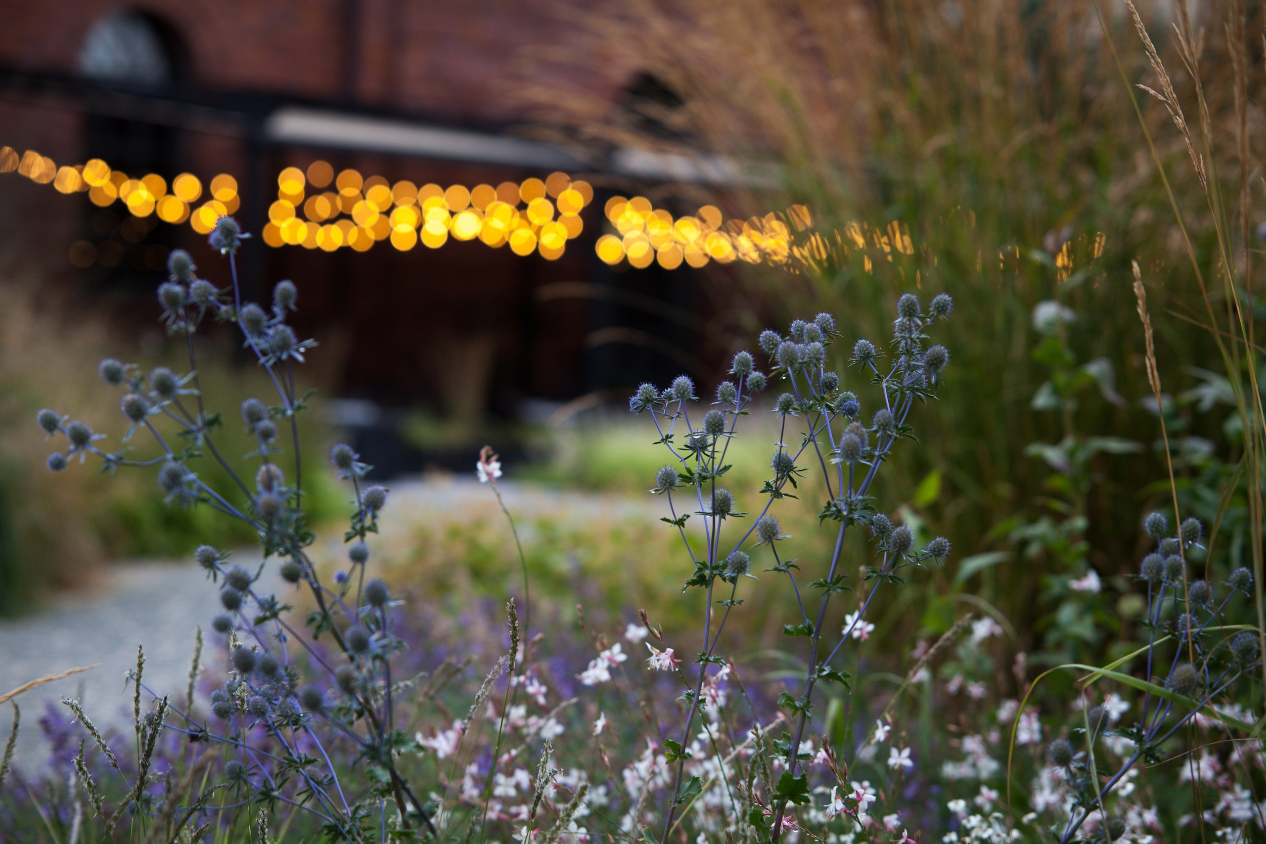 Новая Голландия — объект культурного наследия народов РФ федерального значения. Туманов Виталий — фотограф Москва