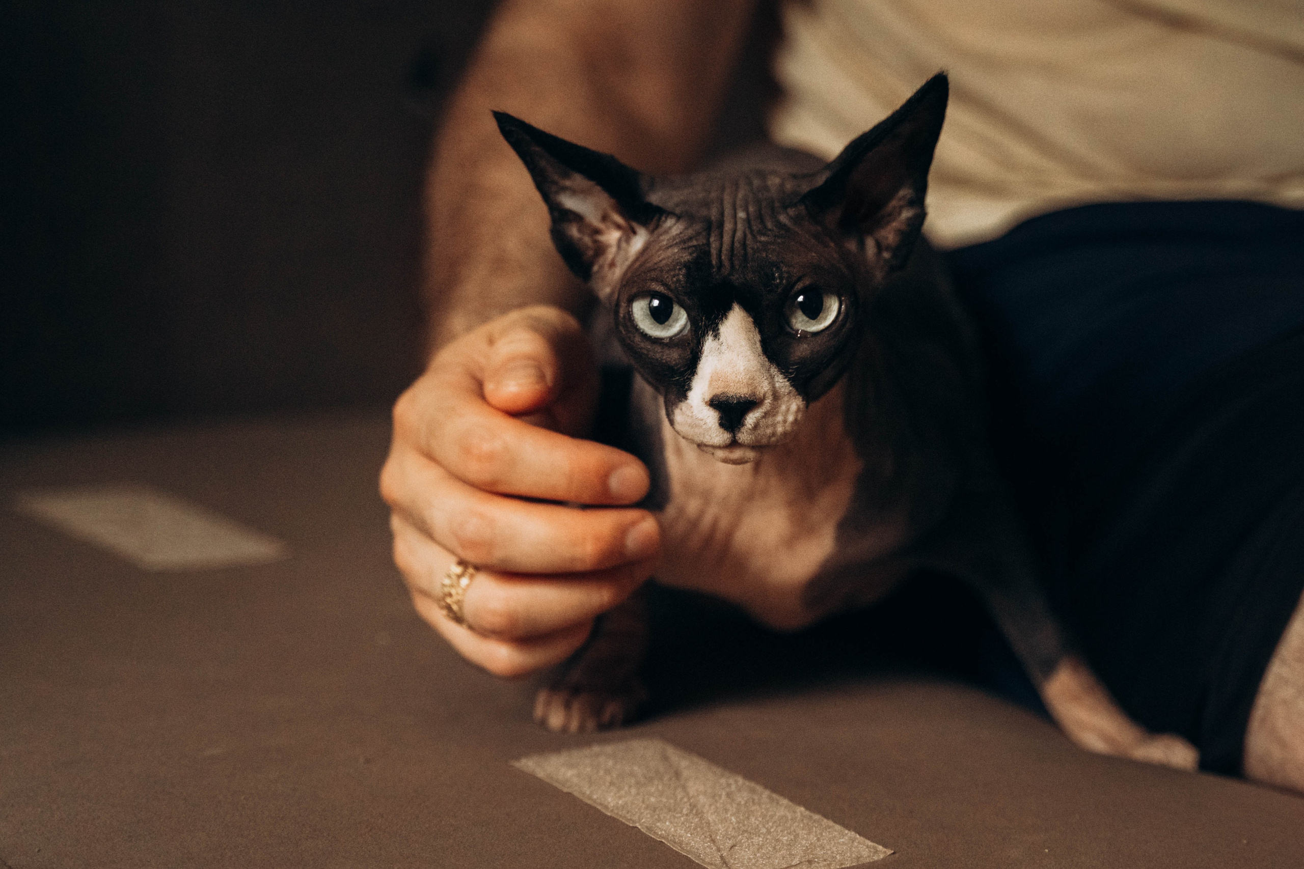 Игорь Светлана Максим. Семейный фотограф в Москве Алёна Шестунова