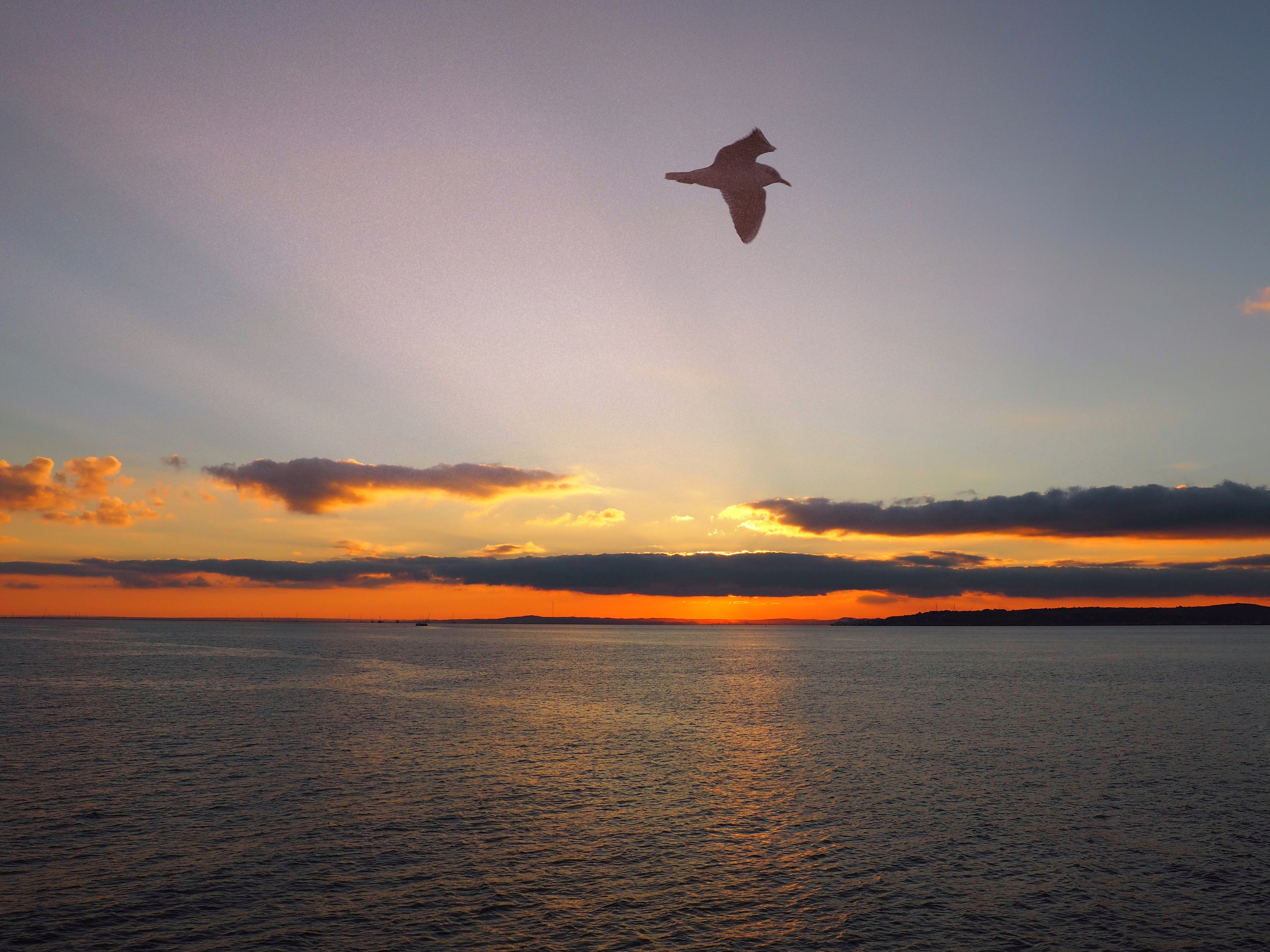 Пейзажи. Смотри, красота!