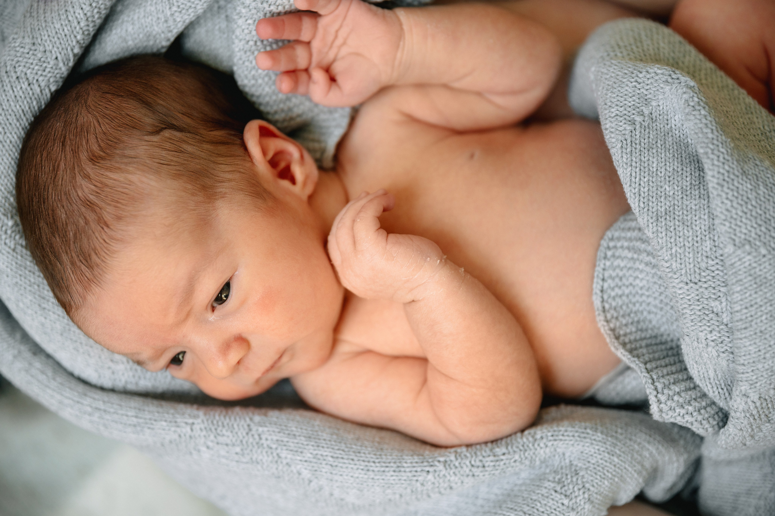 КАТЯ, КОЛЯ И ЗЛАТА. Шашкова Вероника / Свадебный и семейный фотограф Москва и Ярославль