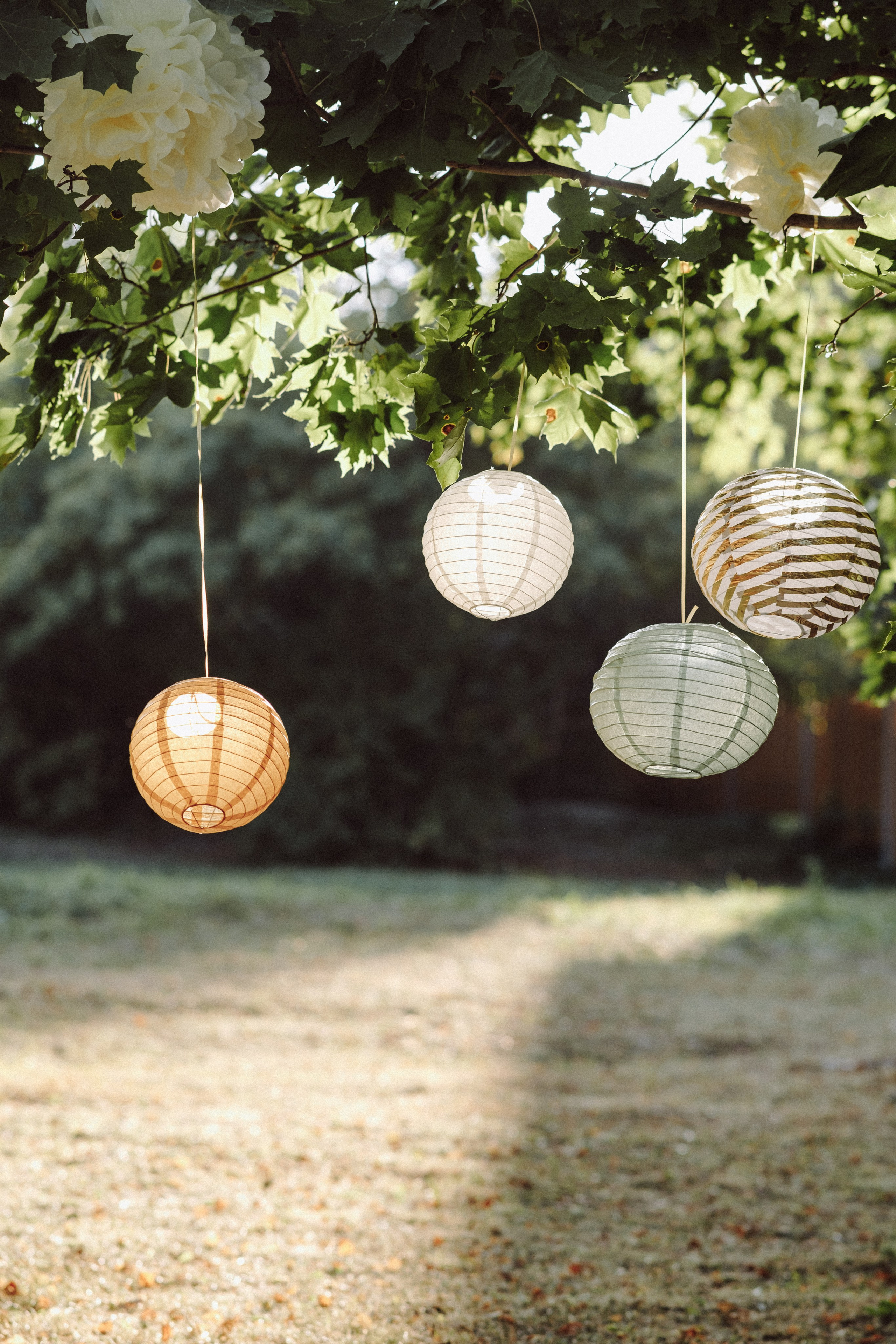 . Фотоёжъ | P H O T O E Z H O G R A P H Y