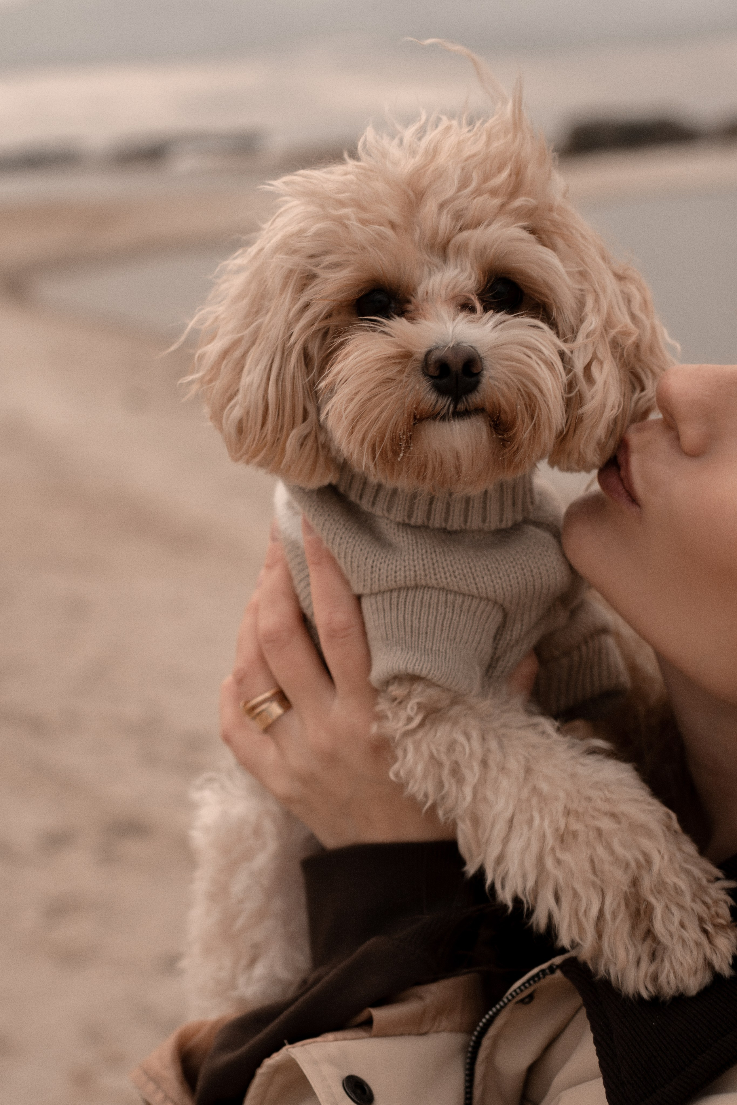 Алексей и Виктория. Свадебный и семейный фотограф в Серпухове Александра Дерюшева