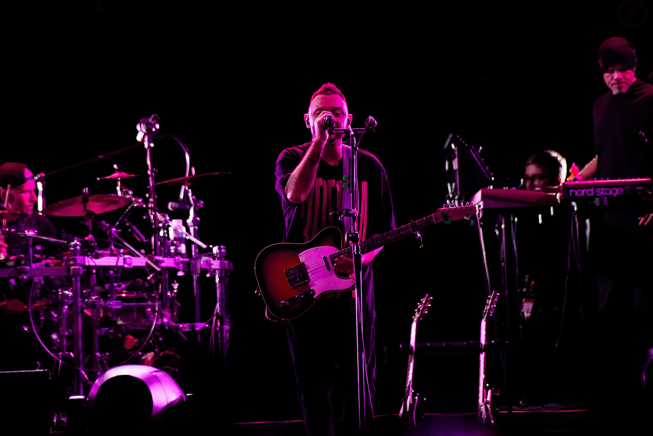 Звери 2025. Репортажный фотограф в Кемерово