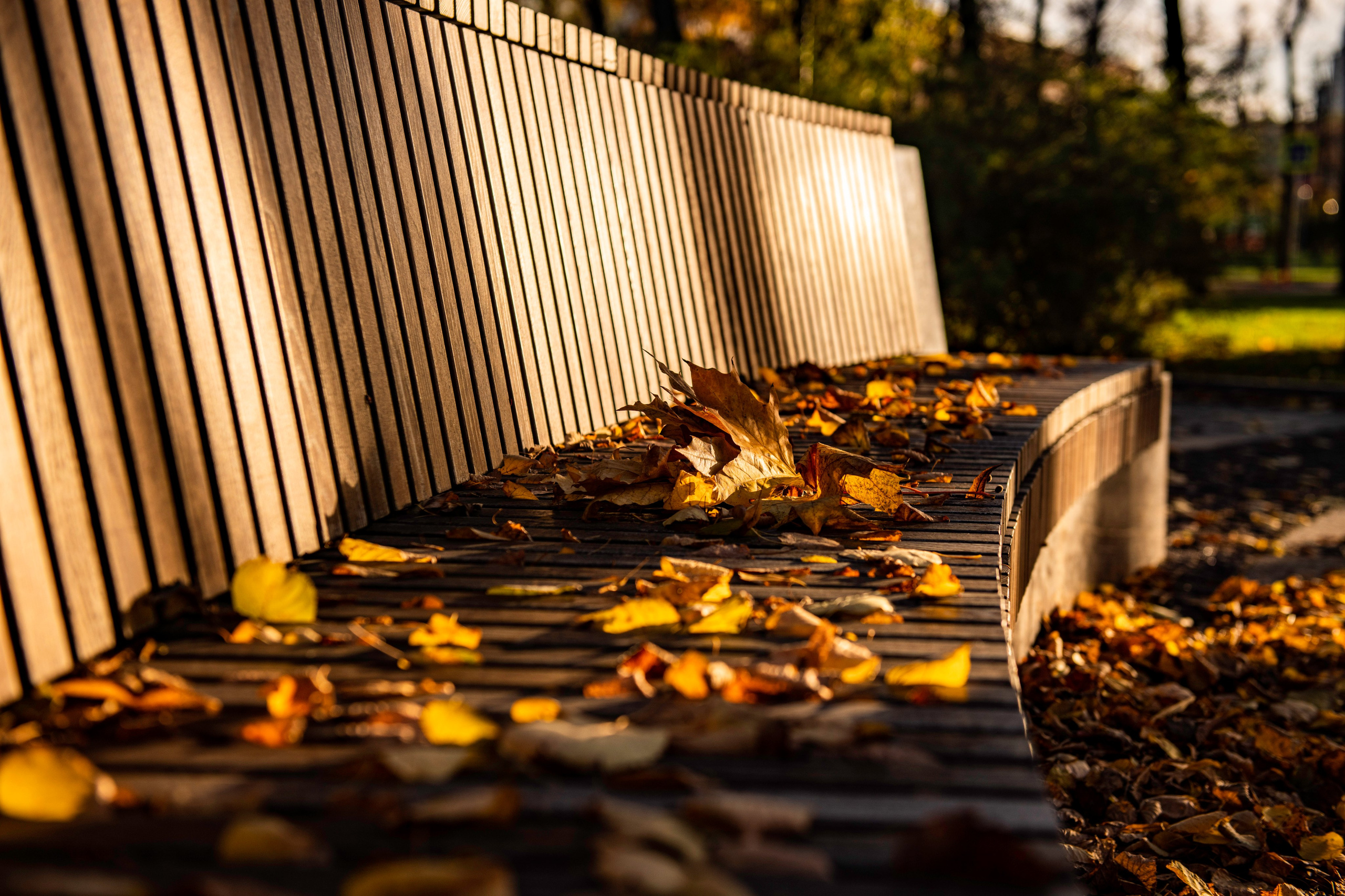 Пейзаж. Главная