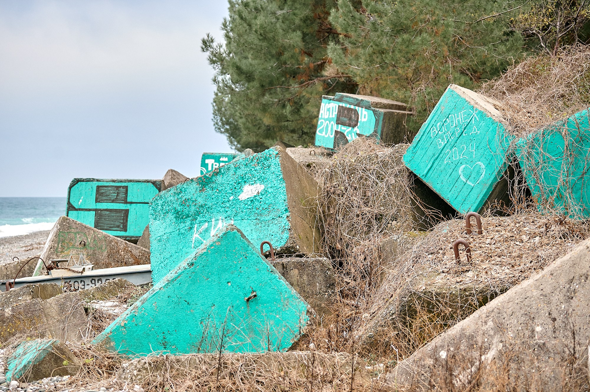 Пицунда, Абхазия. Декабрь 2024. Фотографии отовсюду и обо всем