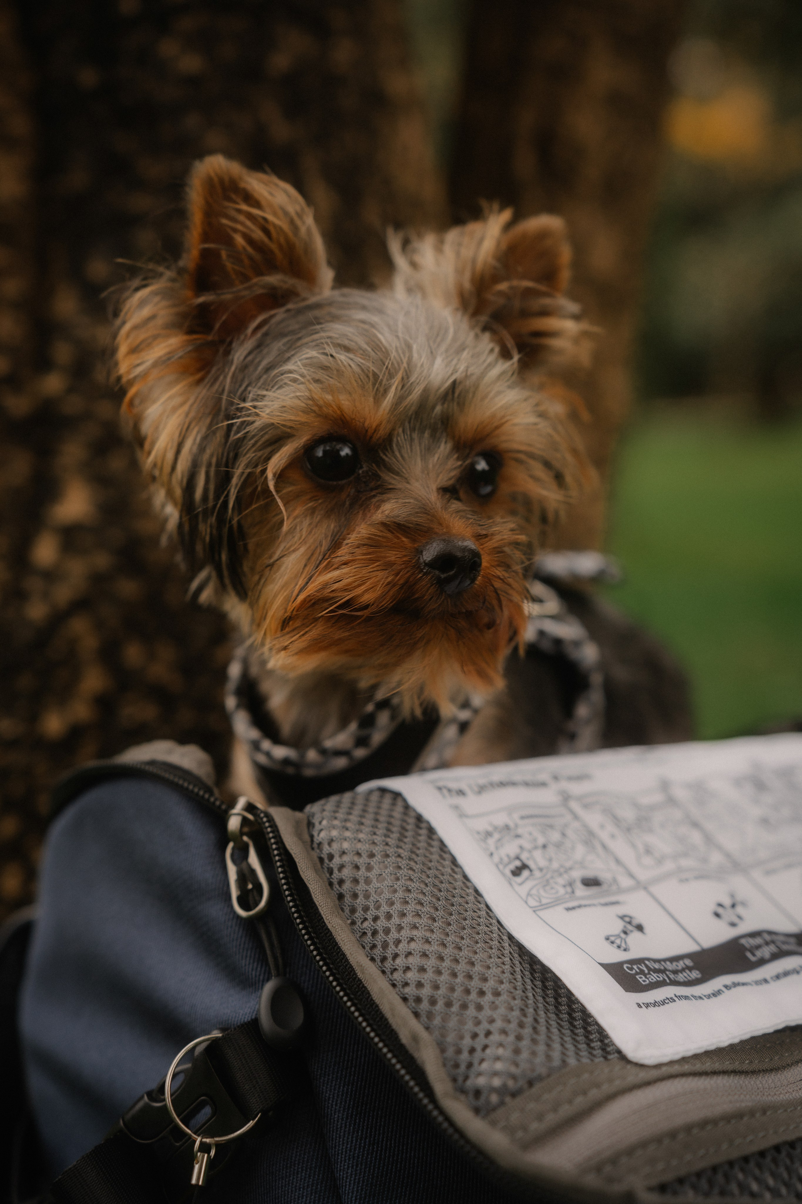 11. Фотограф Батуми | Ксения Кинасова