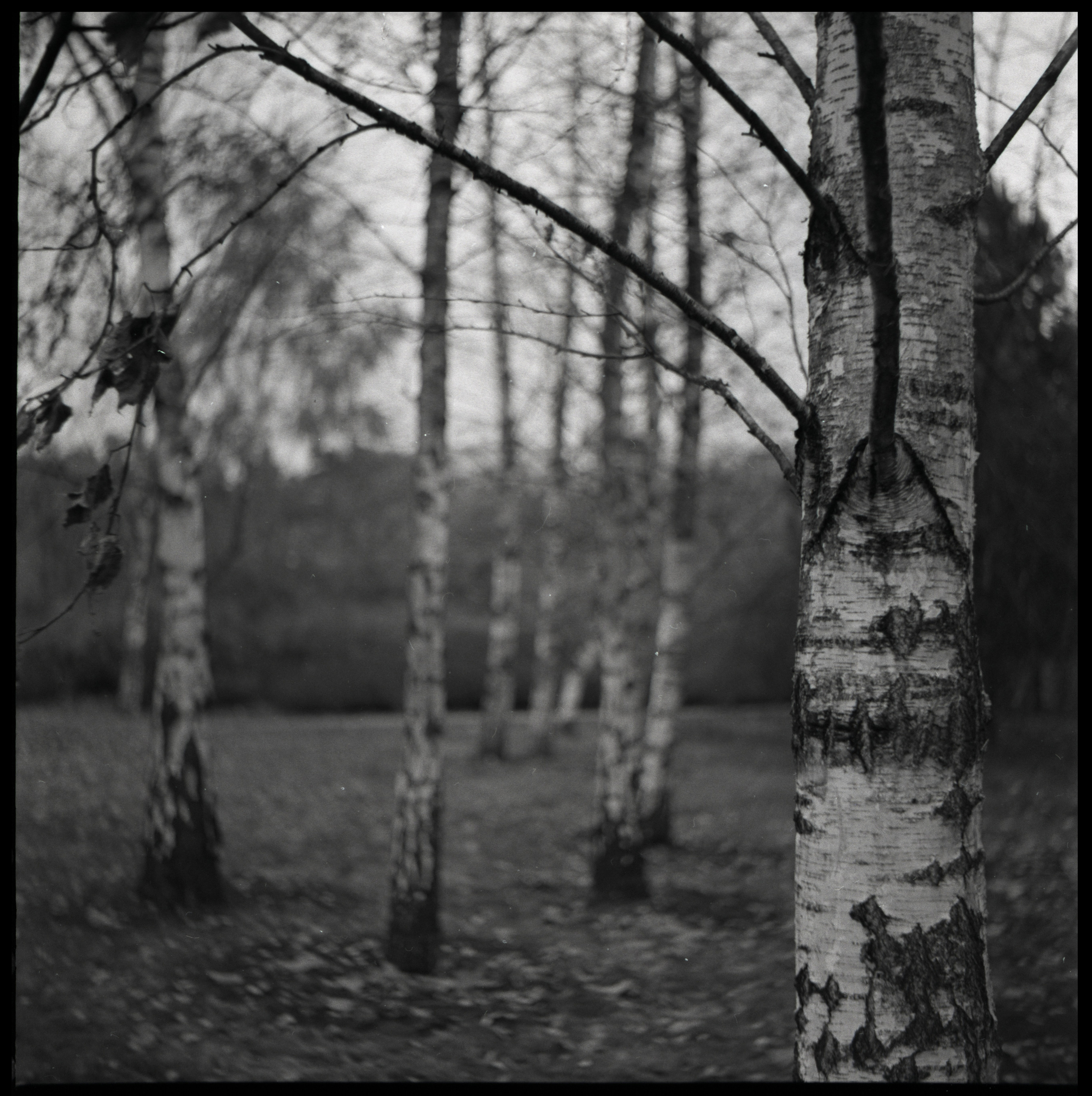 Аналоговая съемка. Портретная съемка в Москве, студийный фотограф Игорь Фомин