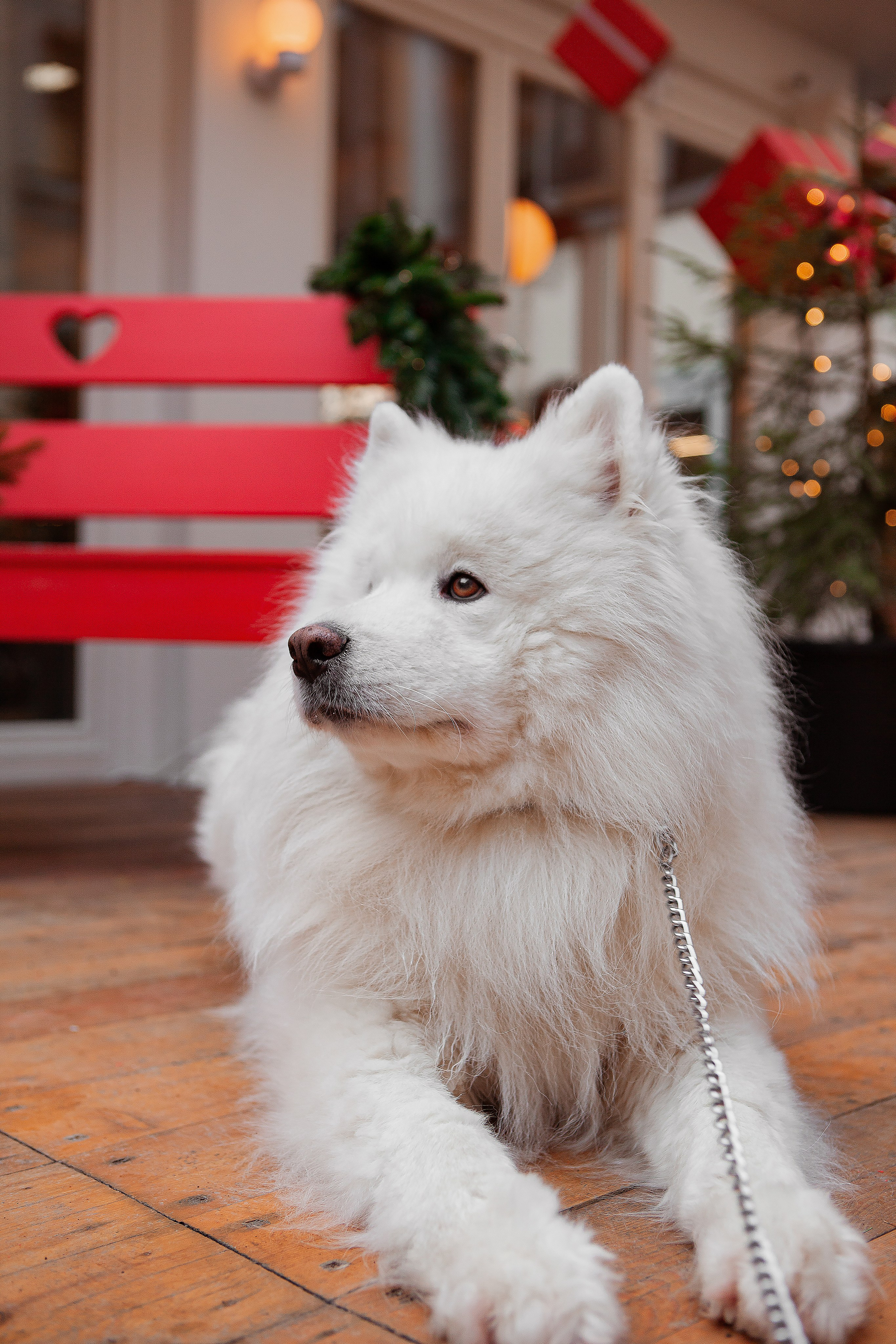 Анна. Свадебный фотограф в СПБ | Санкт-Петербурге Анастасия Рахимгулова