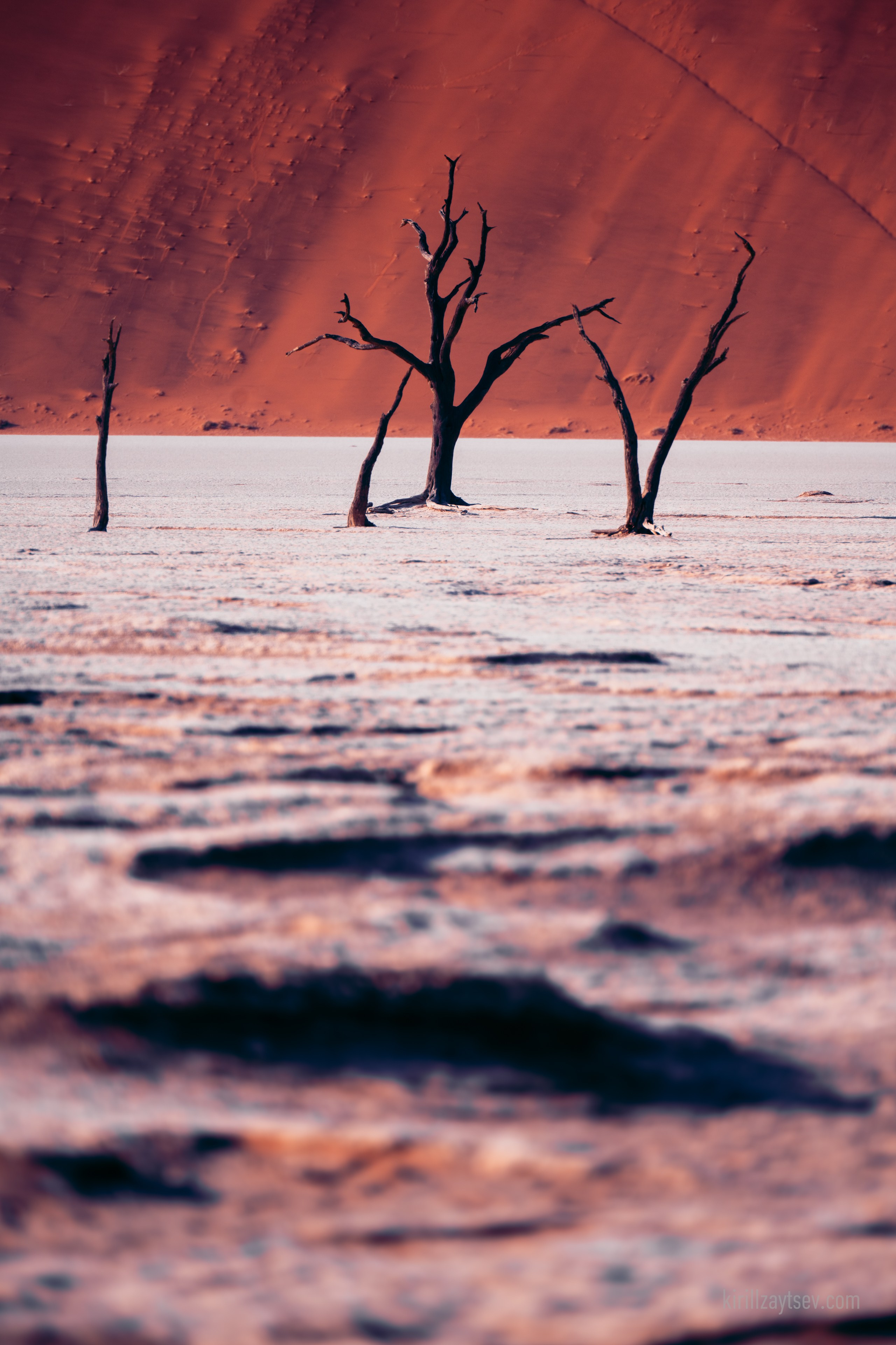 Жизнь. Профессиональный фотограф Кирилл Зайцев